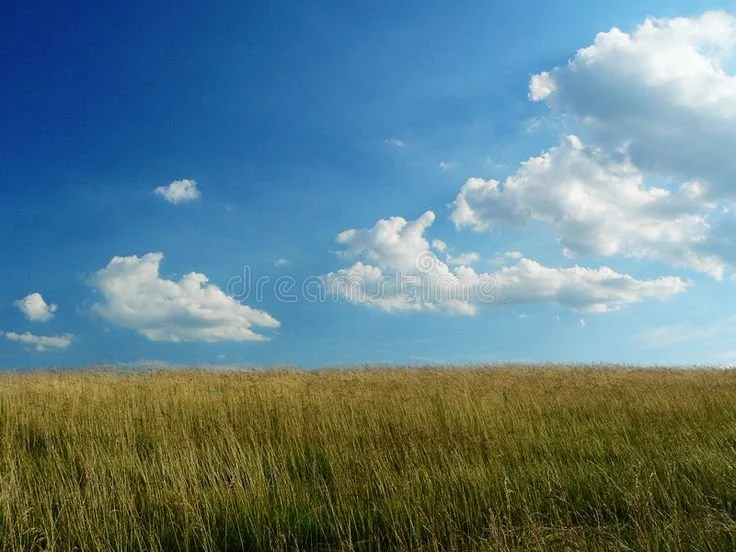 Blue Sky Continuity Planning for Canadian Farmers
