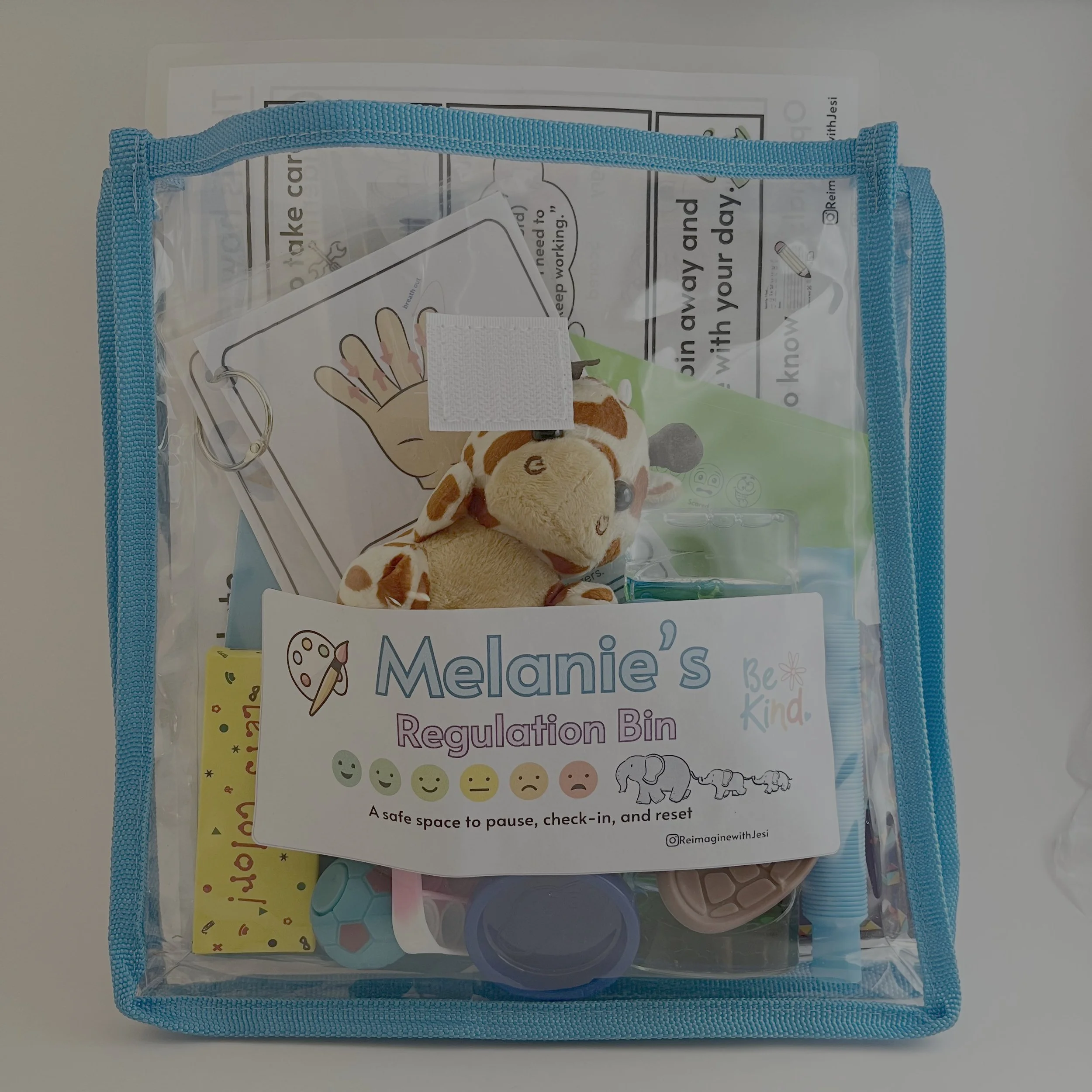 melanies-regulation-bag.jpg
