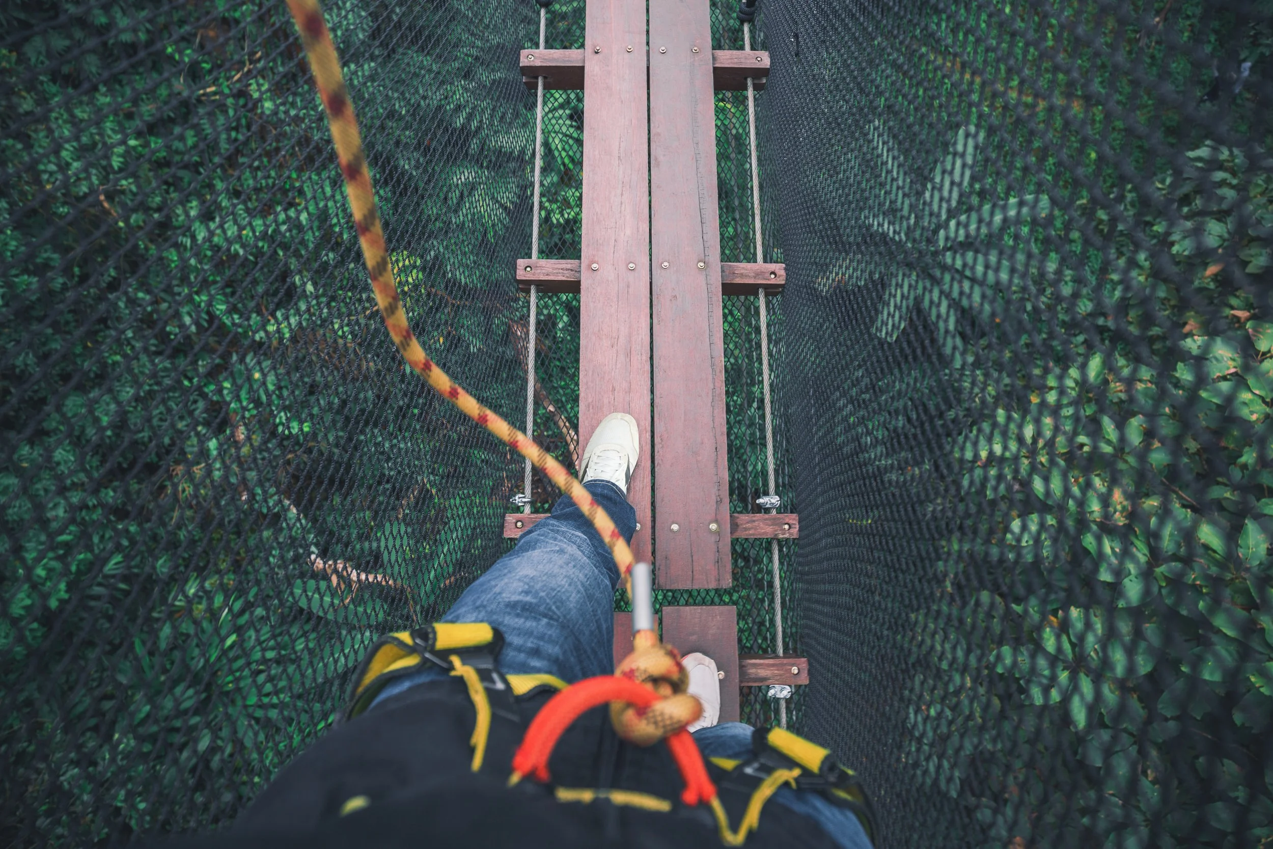 When High Performers Become the Safety Net