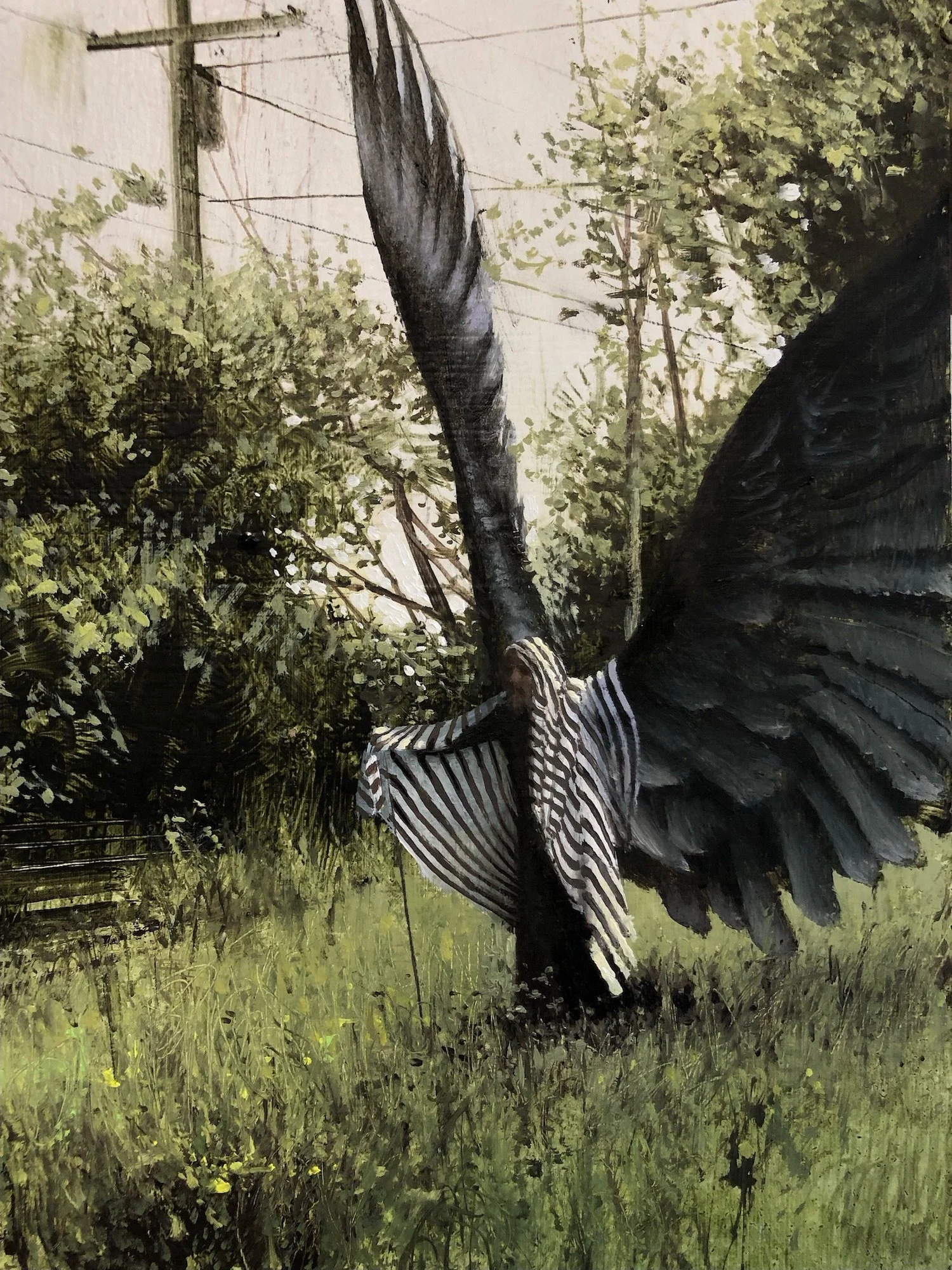 An Angel Landed Behind the Studio by Daniel Sprick. A painting of an angel with enormous wings draped in a striped cloth of a woman standing in a field setting with trees, grass, and power lines in the background.