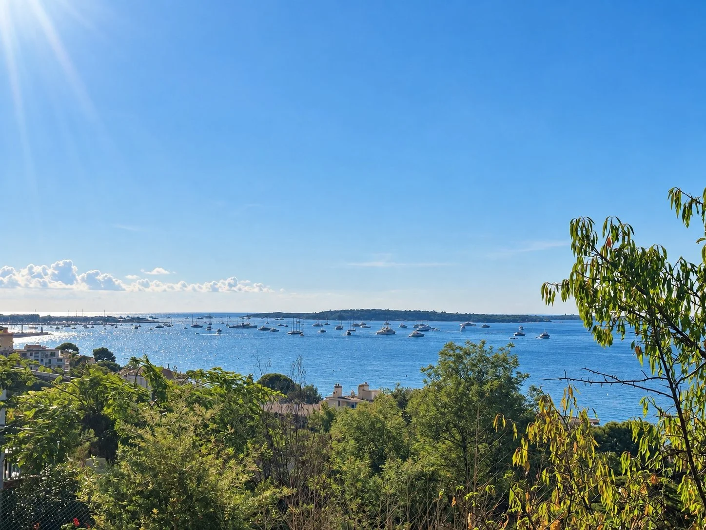 baie de cannes bateaux.jpg