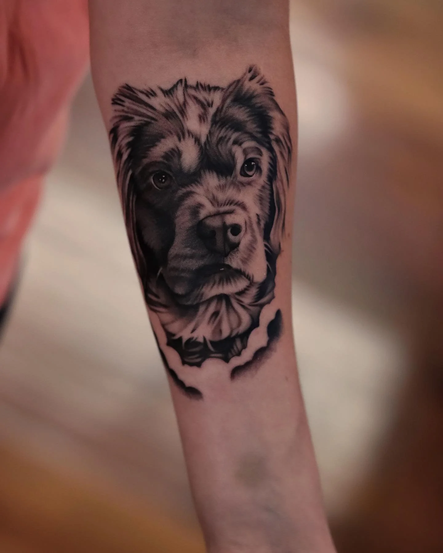 Tattoo of a detailed black and gray dog's face on person's forearm.