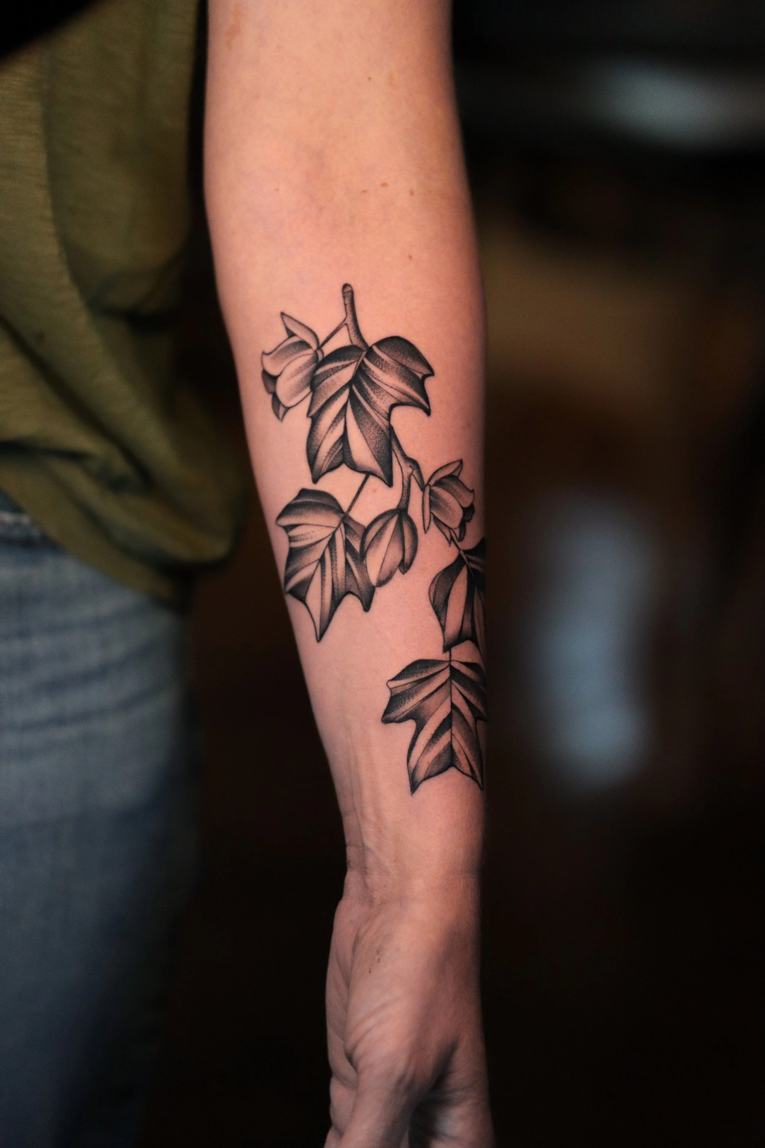 Close-up of a person's forearm with a black and gray tattoo of a leafy vine.