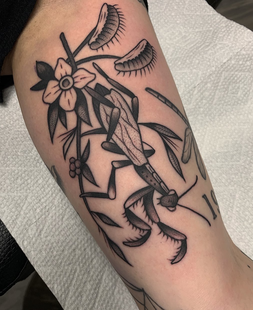 Black outline tattoo of a grasshopper on the arm, surrounded by leaves, flowers, caterpillars, and berries.