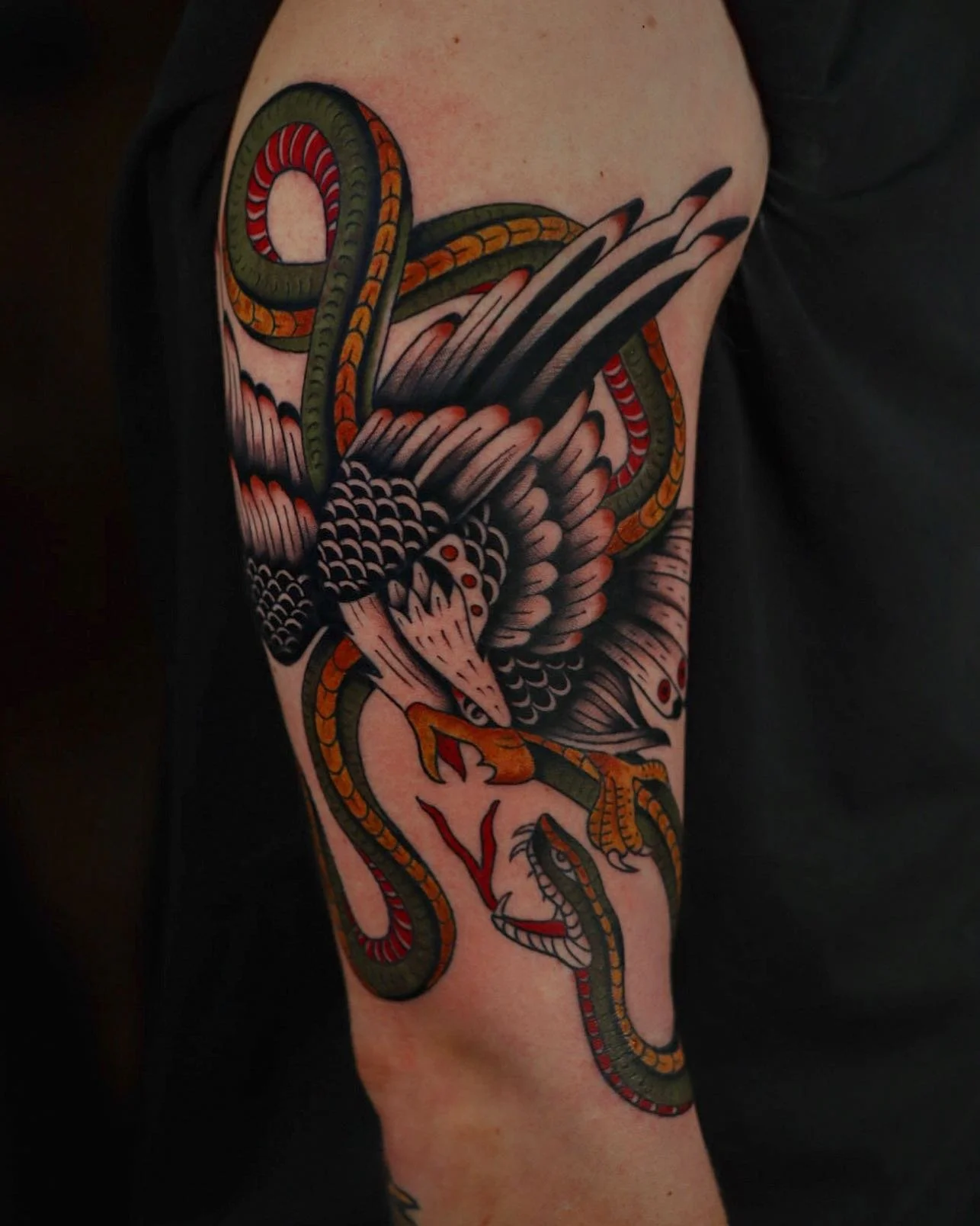Tattoo of a bird with outstretched wings and a snake intertwined around its body on a person's upper arm.