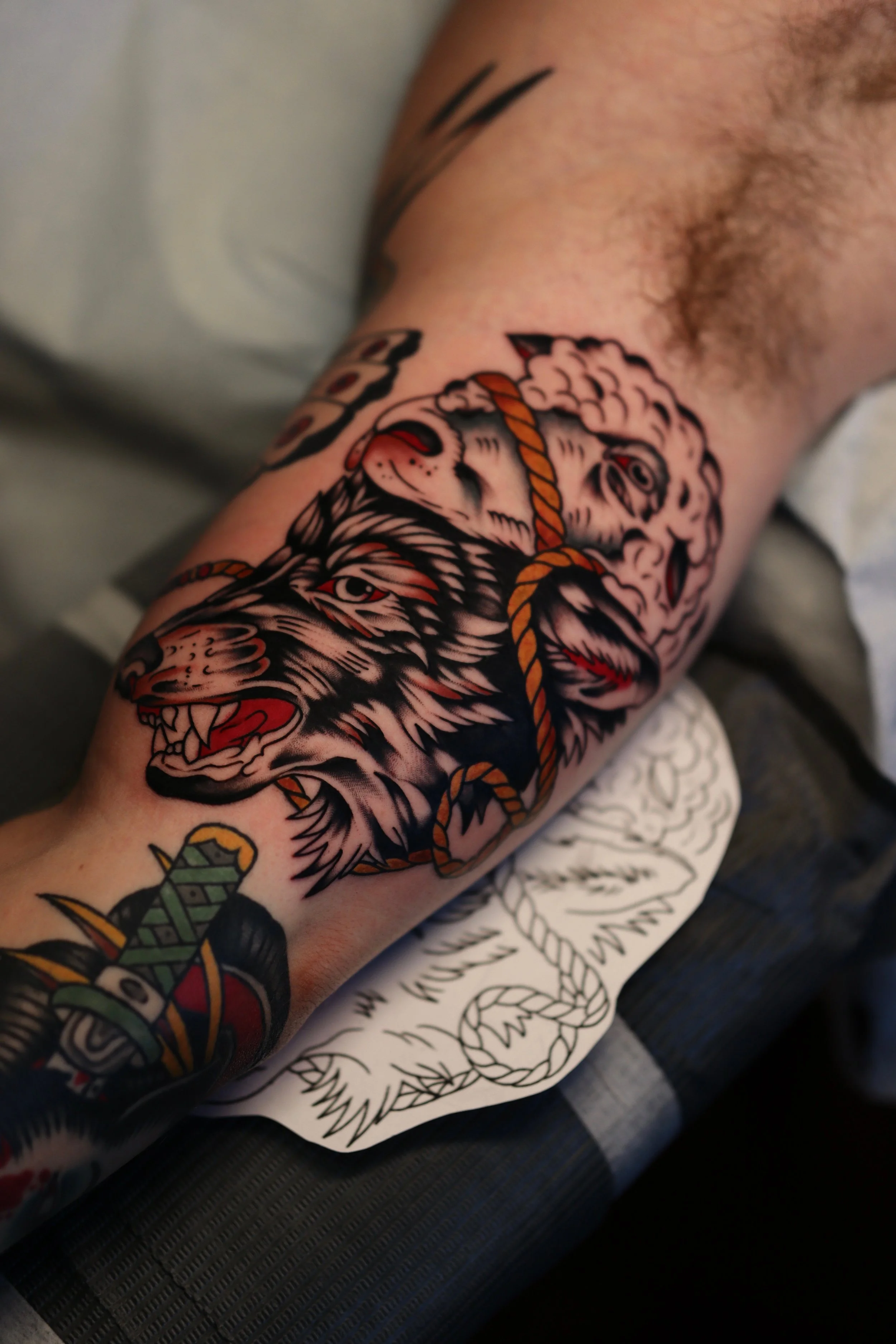 Close-up of a person's arm with a colorful traditional tattoo of a roaring lion with a rope around its neck, with additional tattoos visible near the wrist and forearm.