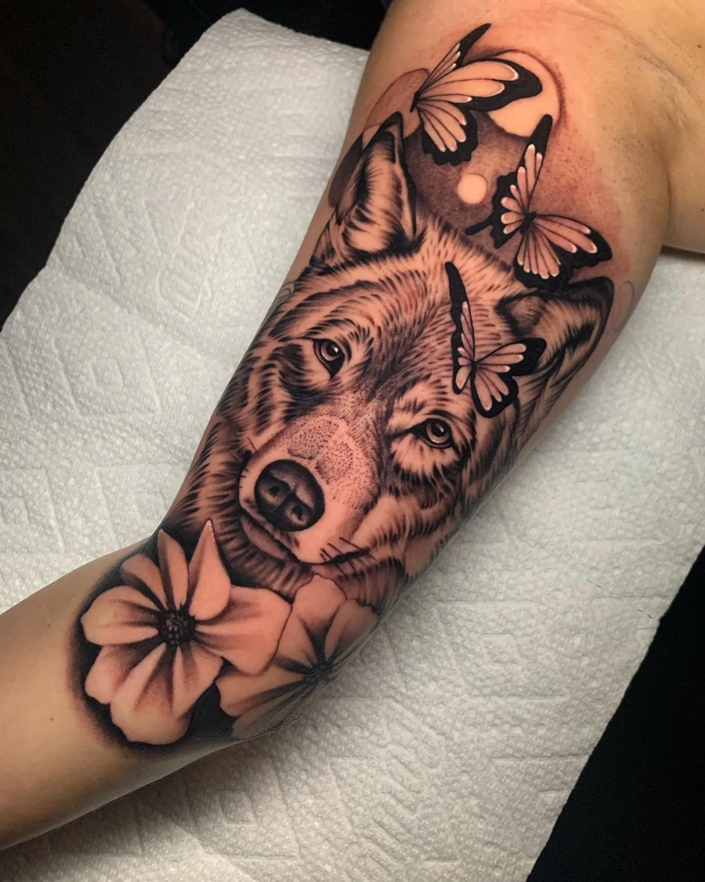 Tattoo of a wolf's face surrounded by butterflies and flowers on a person's arm.