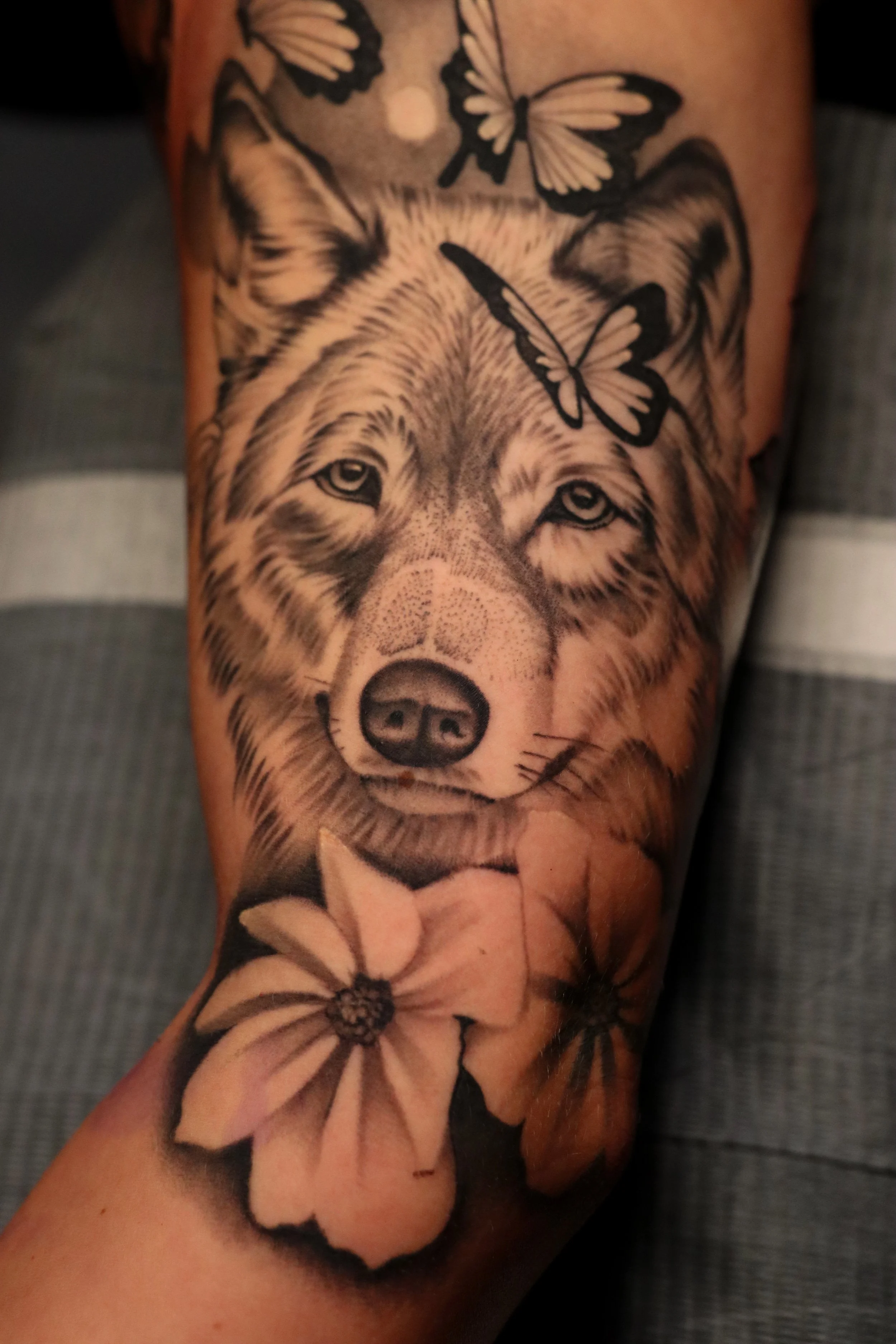 Tattoo of a wolf with butterflys and flowers.
