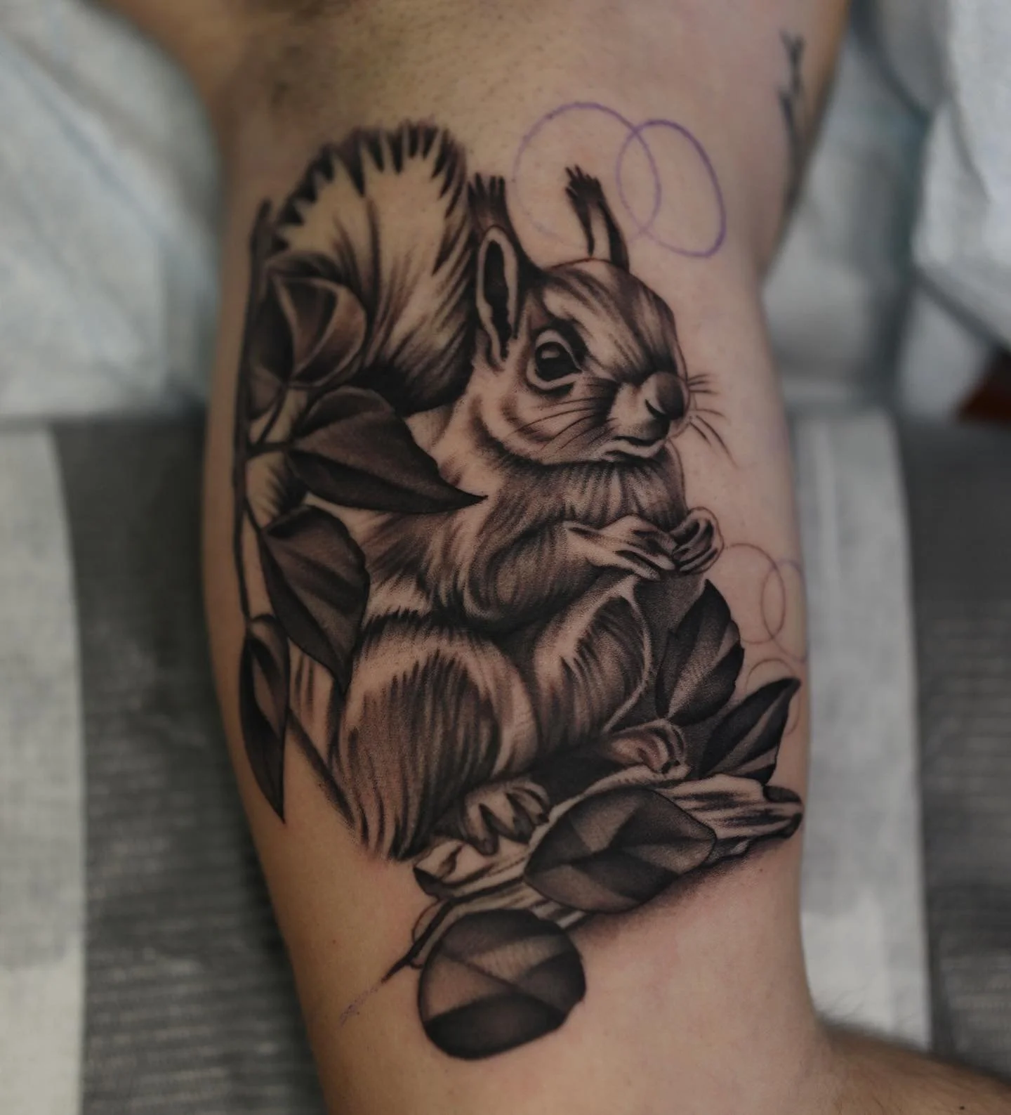 Black and gray tattoo of a squirrel with large bushy tail, surrounded by leaves and vines, inked on a person's arm.
