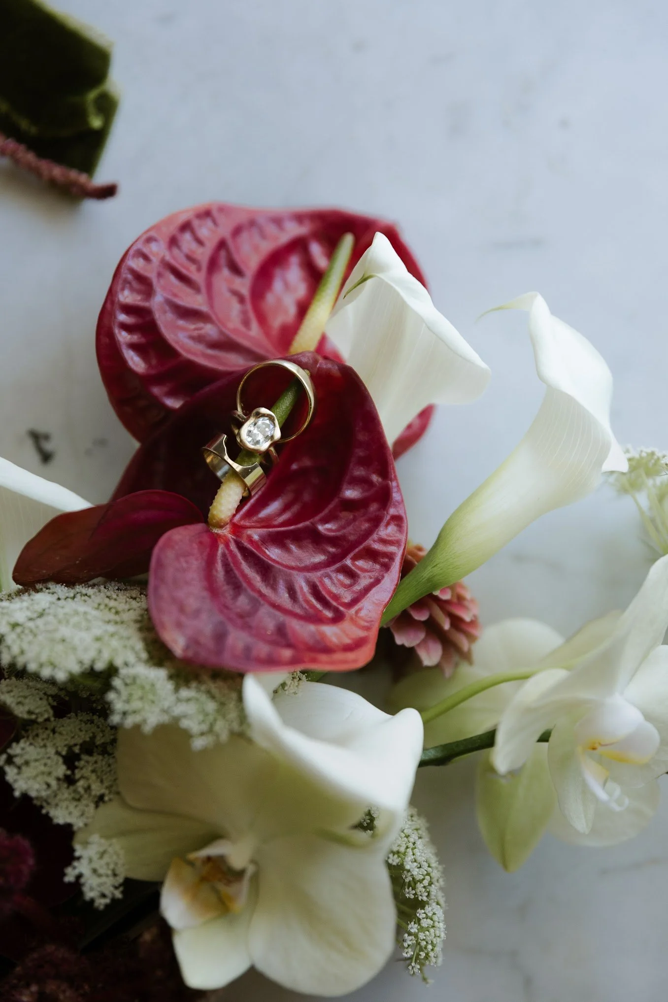 JLittlePhotography-3484.jpg