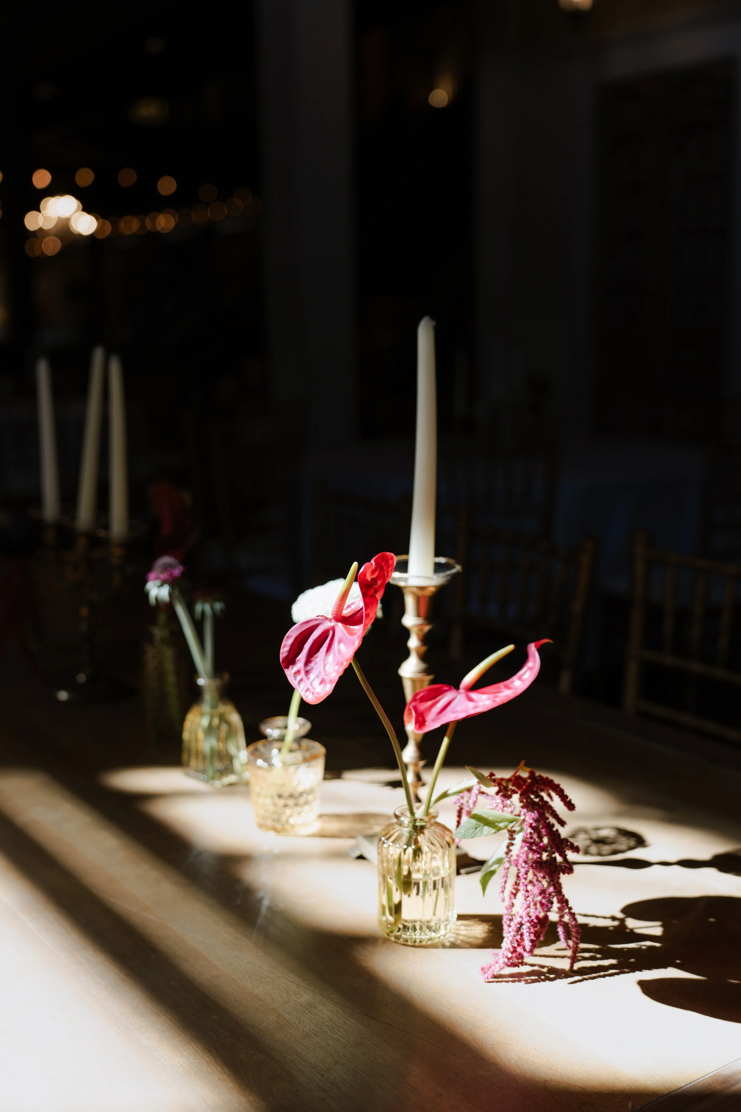 JLittlePhotography-7202687.jpg