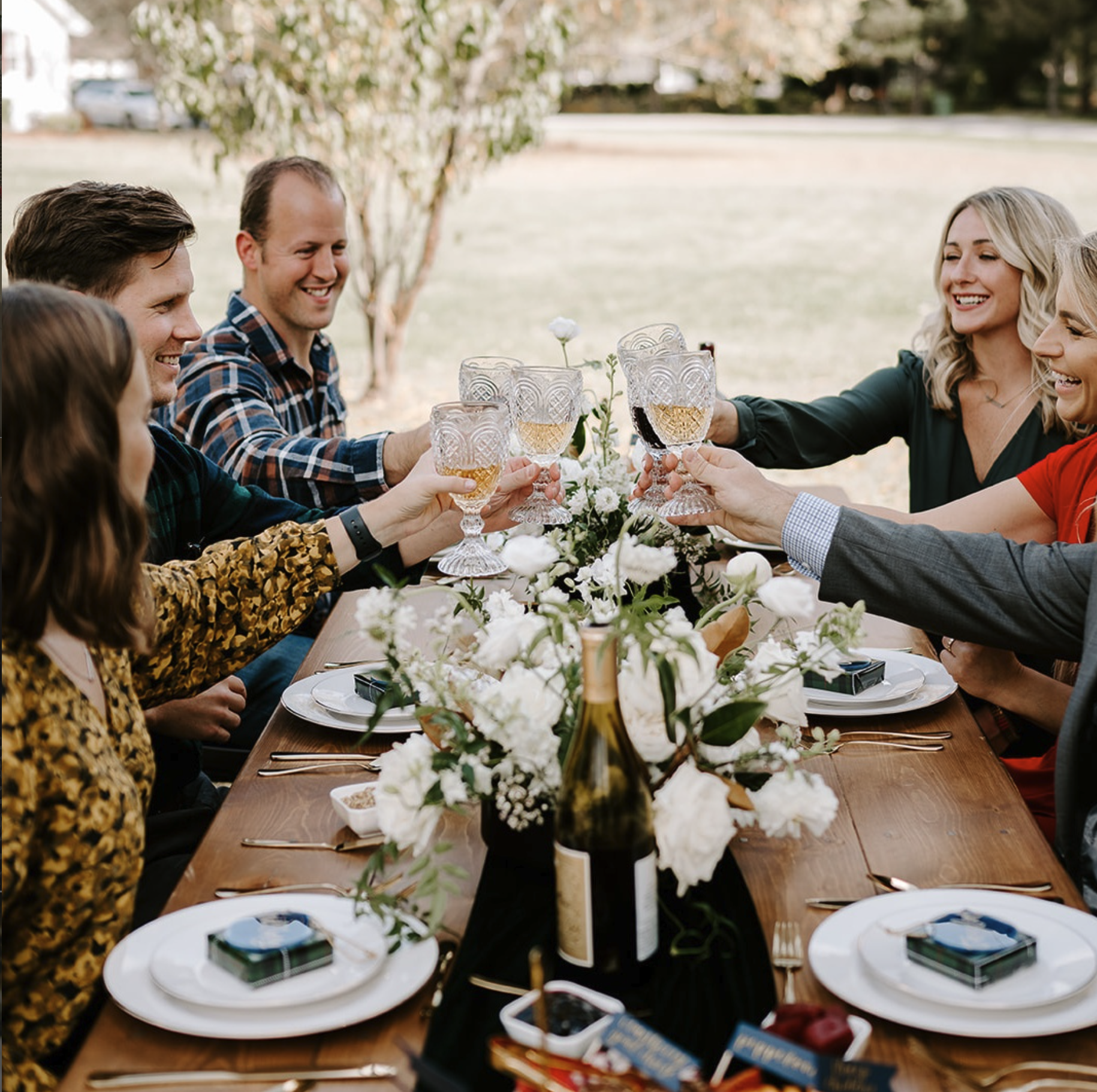 A group of people at an outdoor dinner table raising glasses for a toast. The table is decorated with white flowers in a vase, set with plates and utensils, and surrounded by trees and a grassy area.