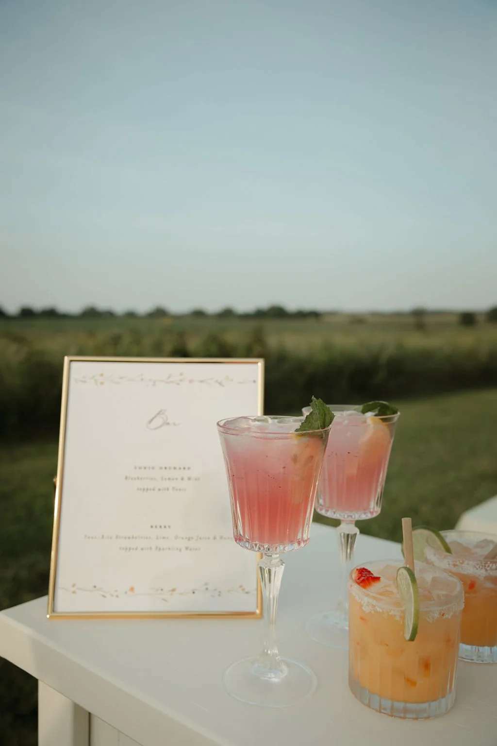 Two pink cocktails with lime and mint garnishes on a table outdoors, with a menu in a gold frame in the background, set against a landscape of open fields under a clear sky.