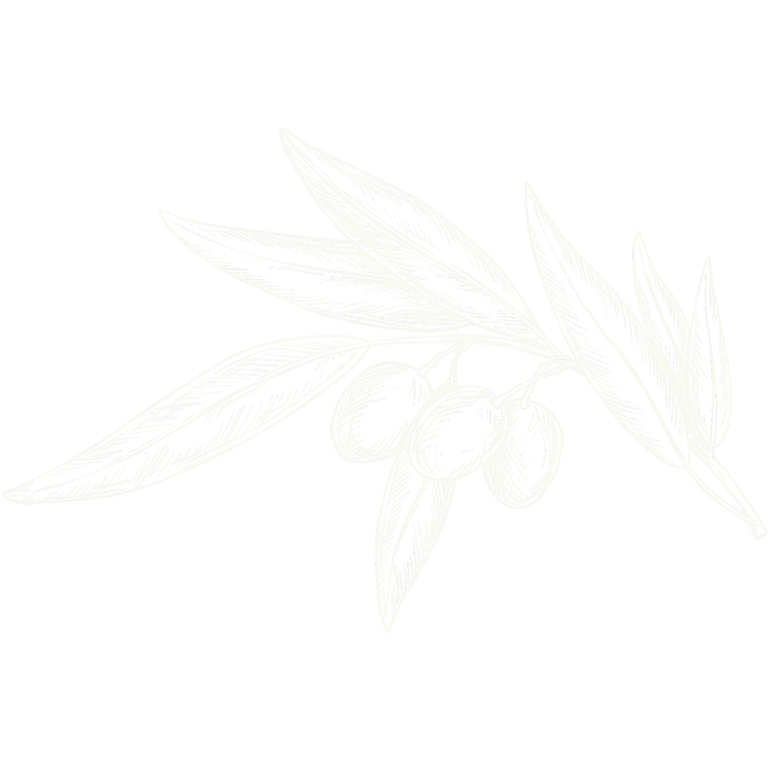 SOIRÉE BEVERAGE CO.