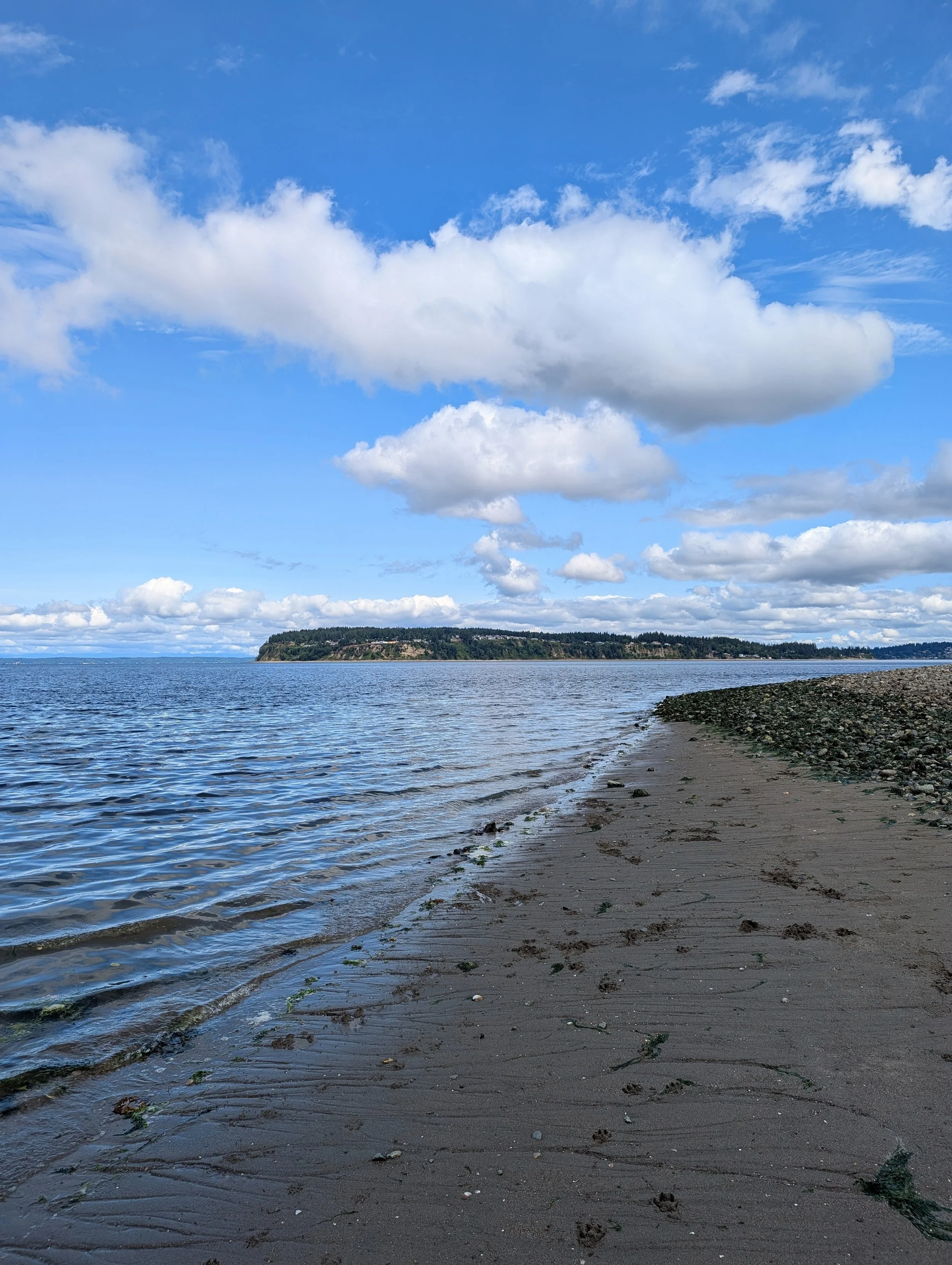 The foreshore, the space where the ocean and land meet, is beautiful but always changing. Much like life's impact on our mental health, therapy can help you thrive in a world that is constantly changing