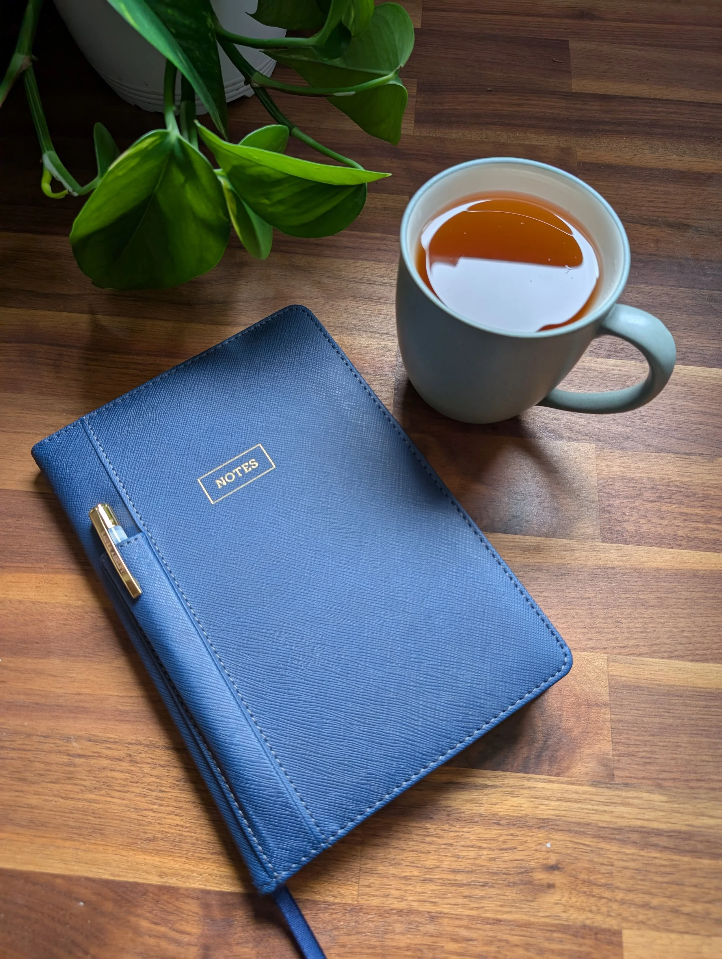 A wooden desk with a blue notebook, a gold and blue pen, a white coffee mug filled with coffee, and a green houseplant with broad leaves.