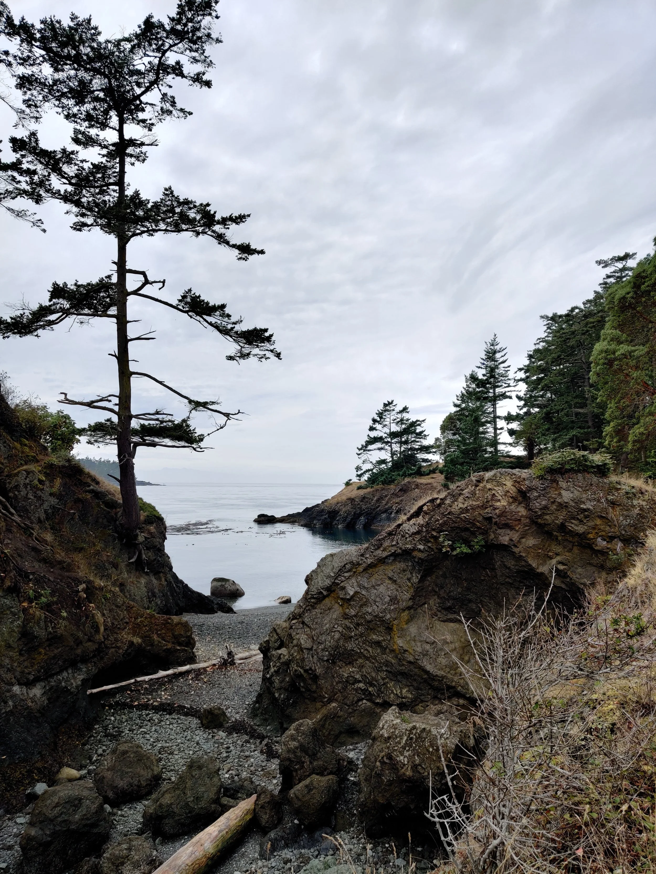 As each foreshore is unique, so too are the mental health challenges that we experience. Therapy can be flexibly tailored to suit the specific terrain of your life and experiences