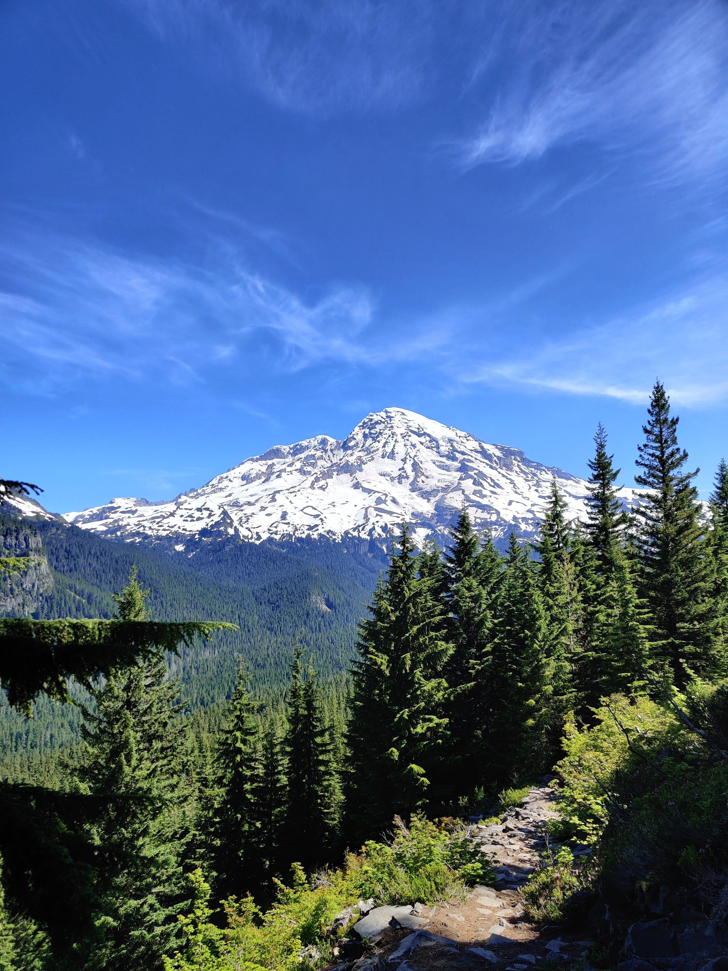 Snow-capped mountain under a clear blue sky with wispy clouds, surrounded by green evergreen trees and a rocky trail in the foreground.