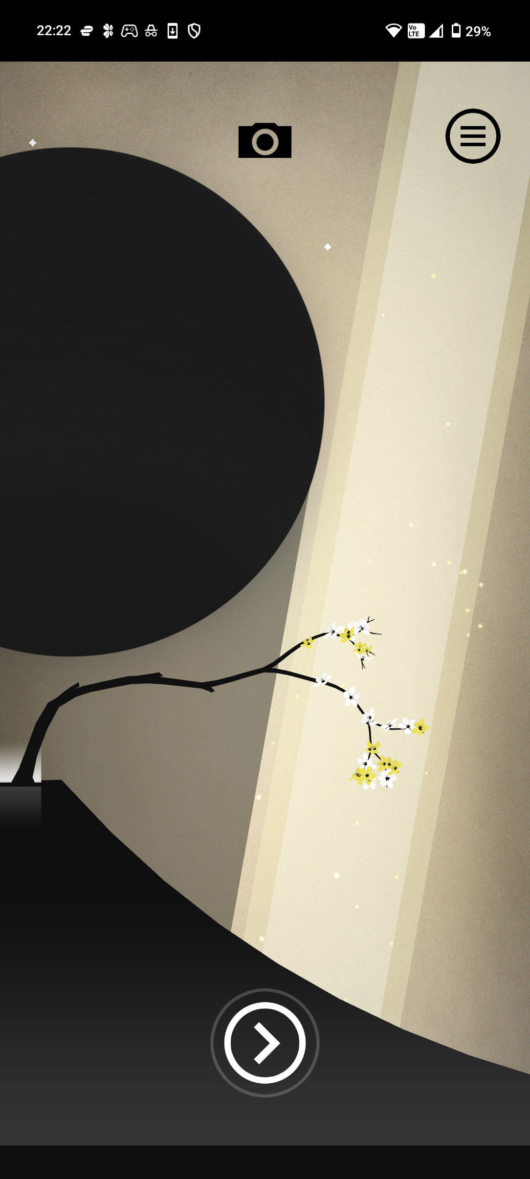 Prune