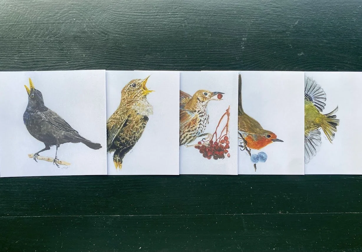 The Dawn Chorus Series