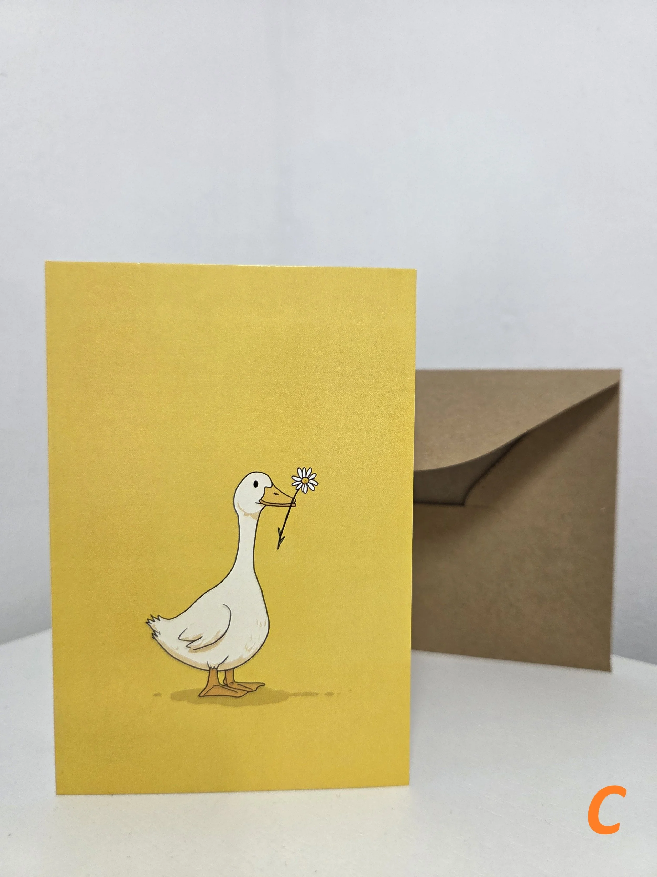 Duck C.jpg