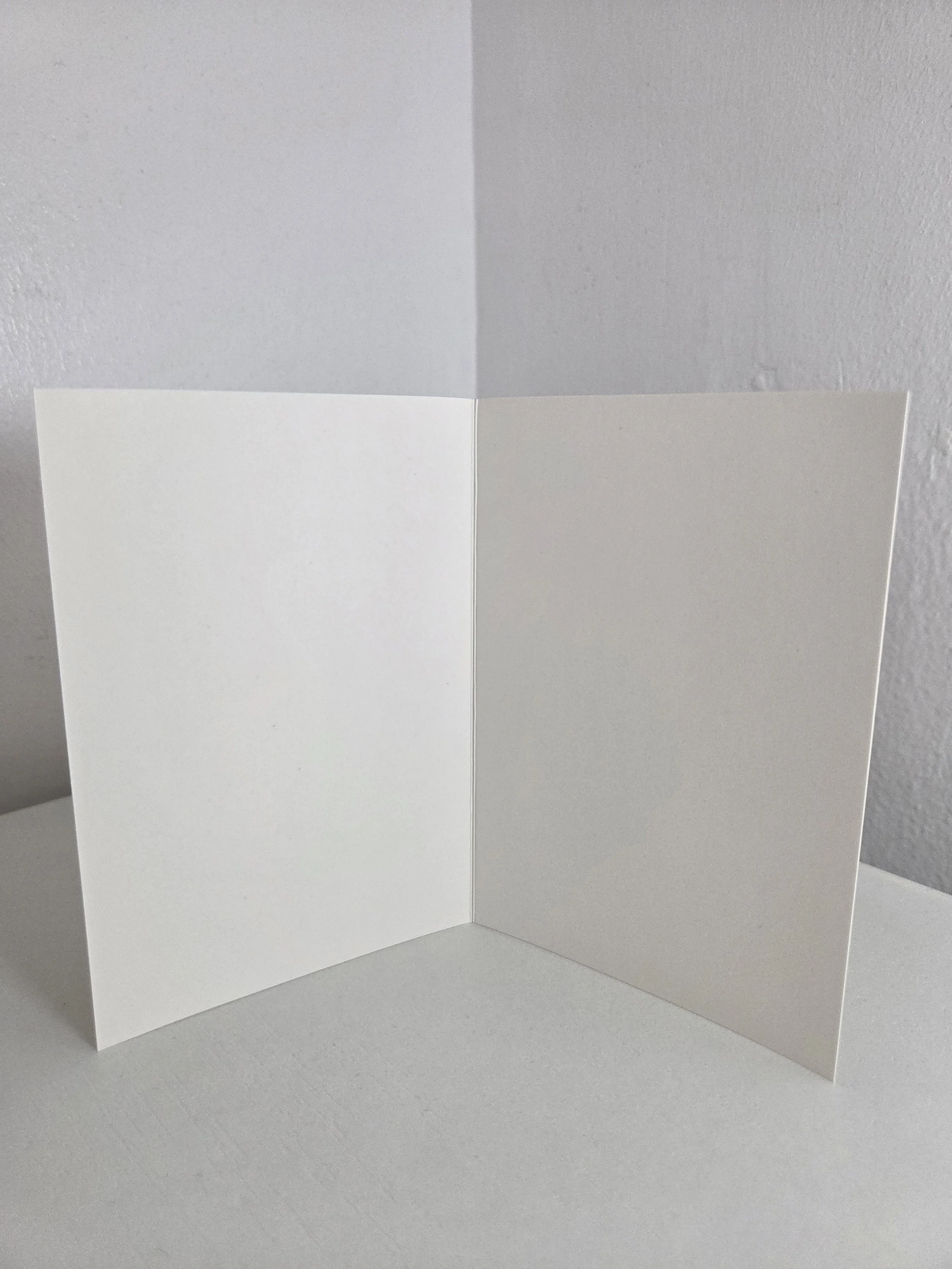 20260911_132000.jpg
