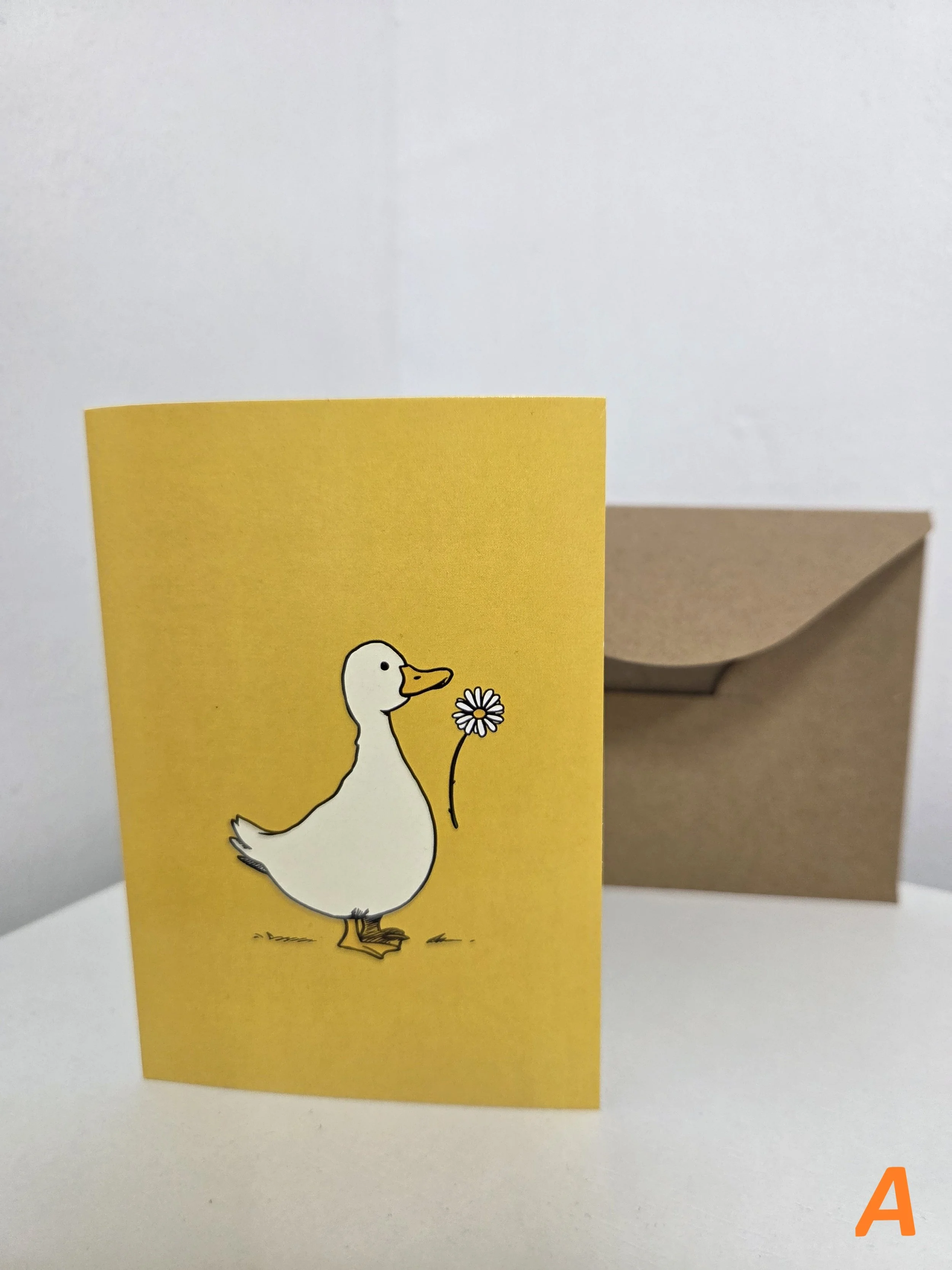 Duck A.jpg