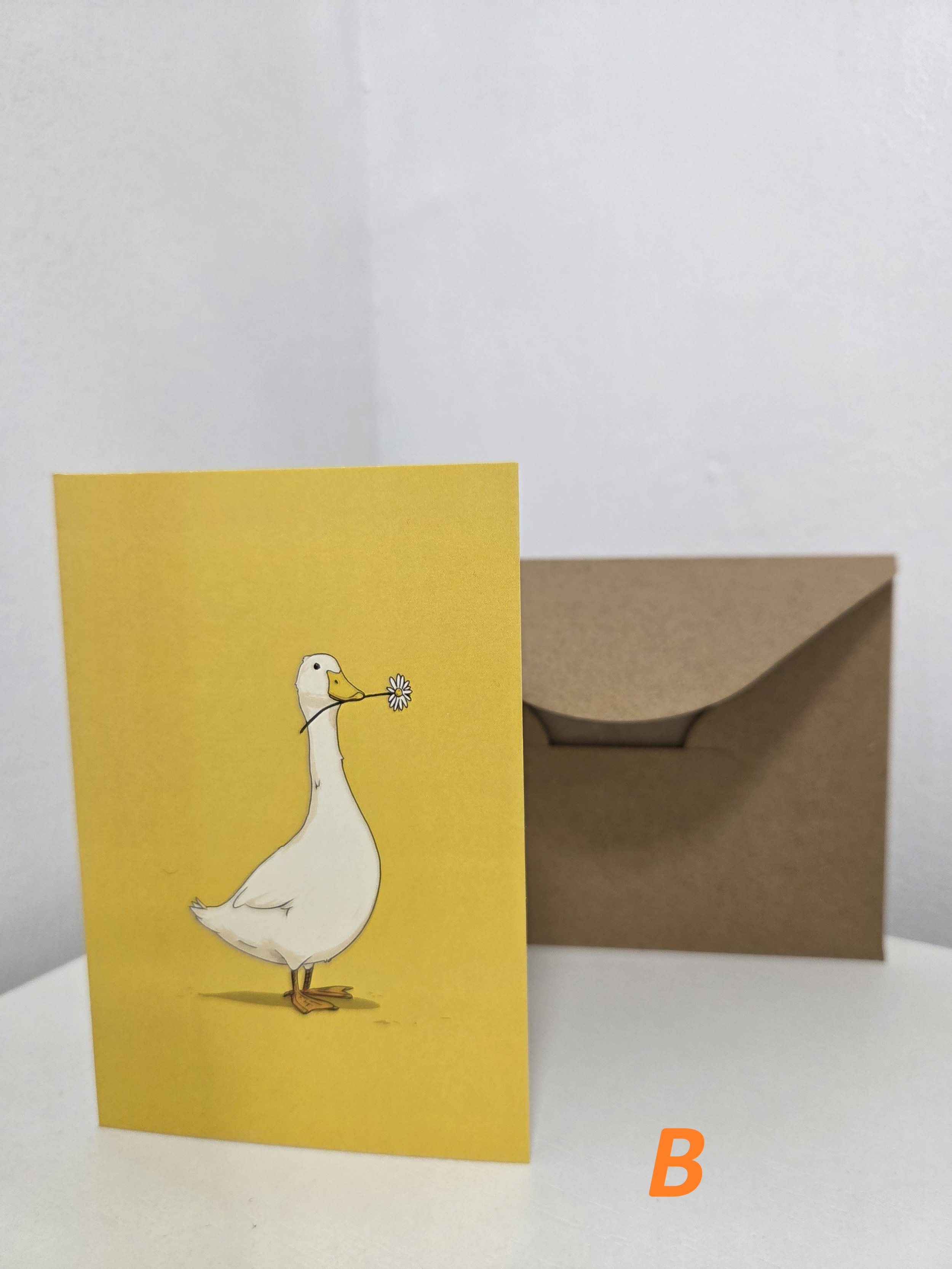 Duck B.jpg
