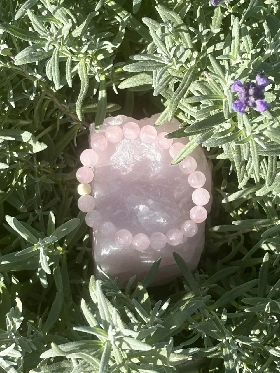 Rosemary's Rose Quartz
