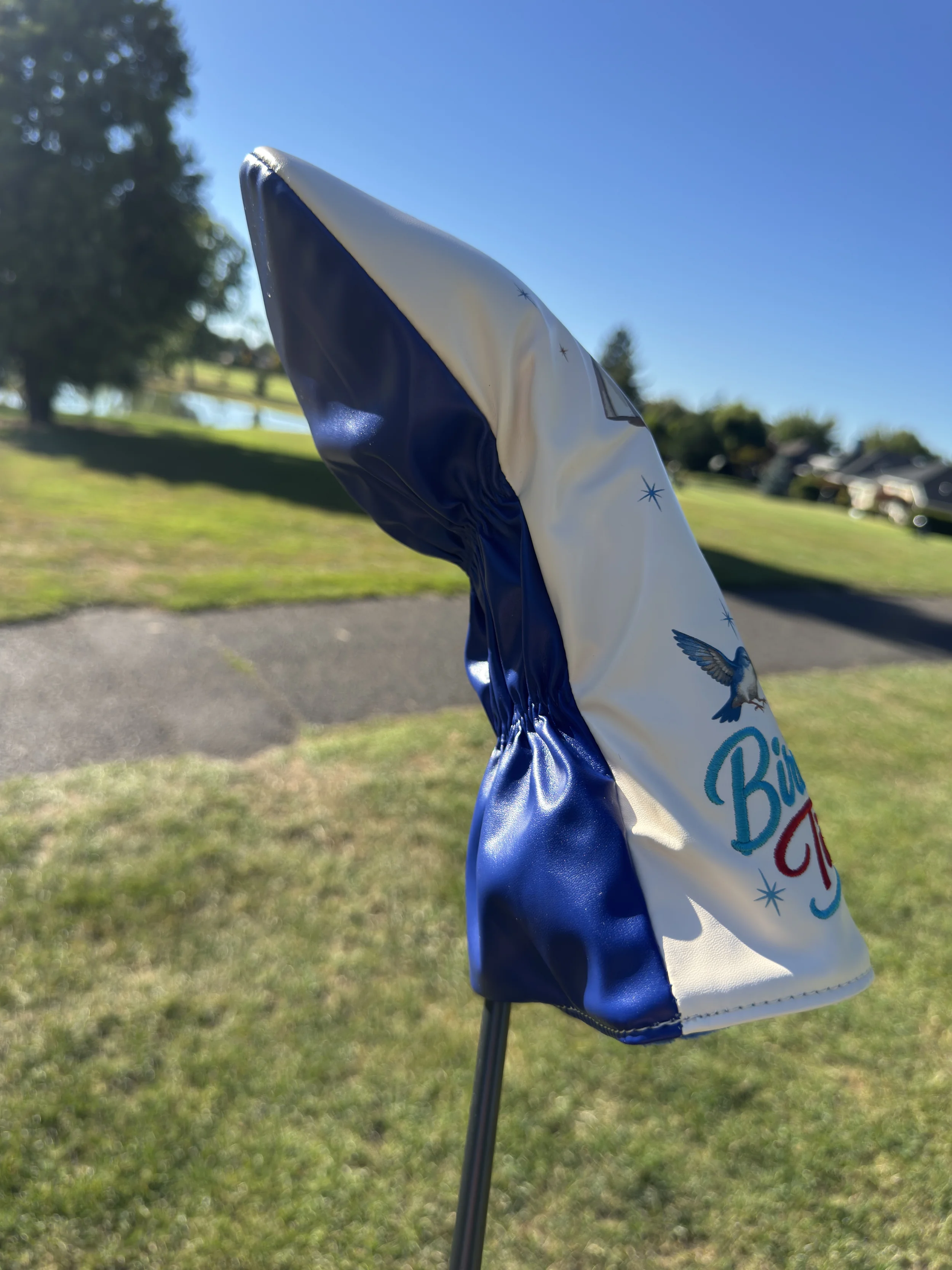 birdie time driver on club Side 2.webp