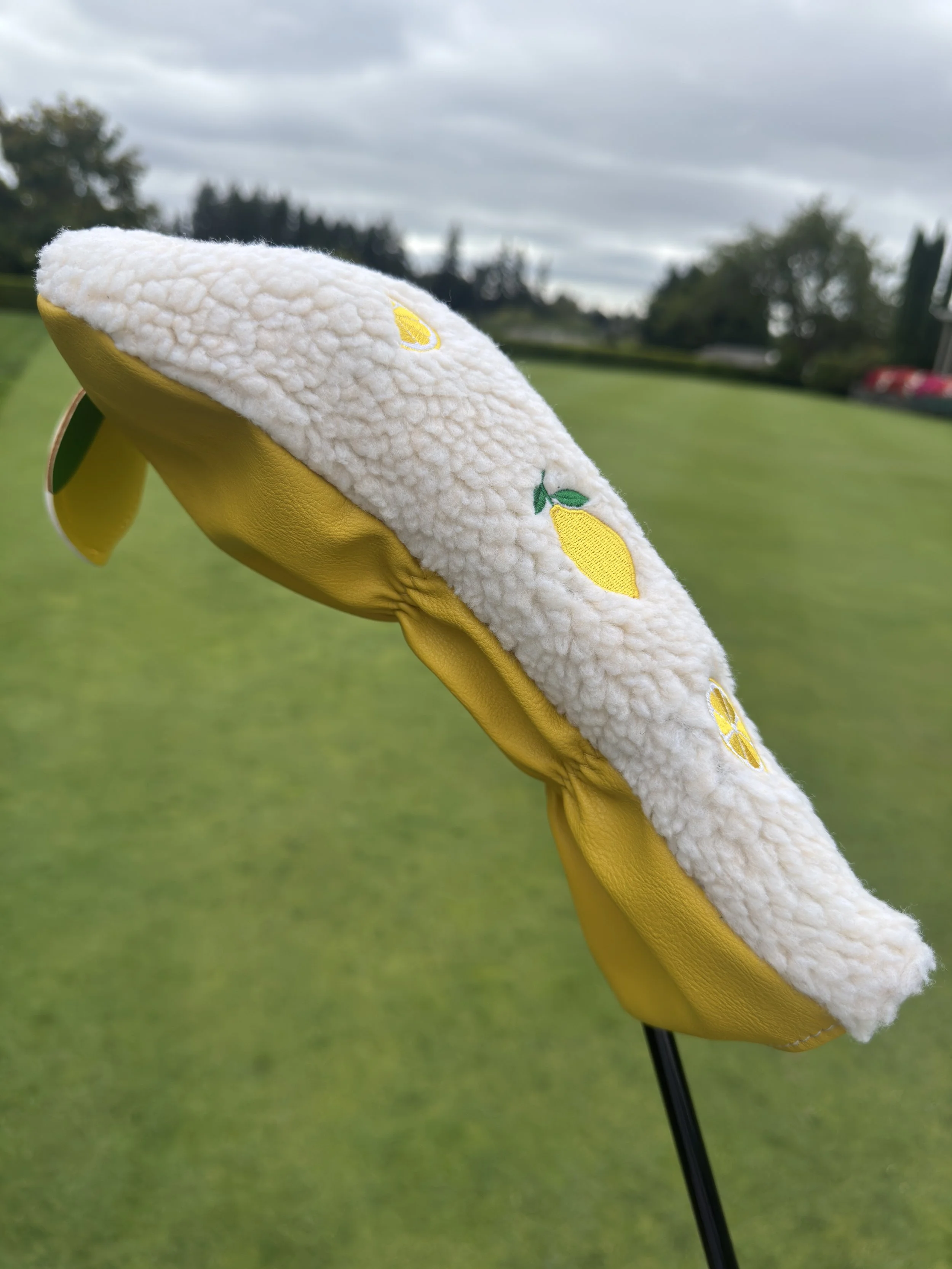 Lemon Driver Cover on bag.jpg