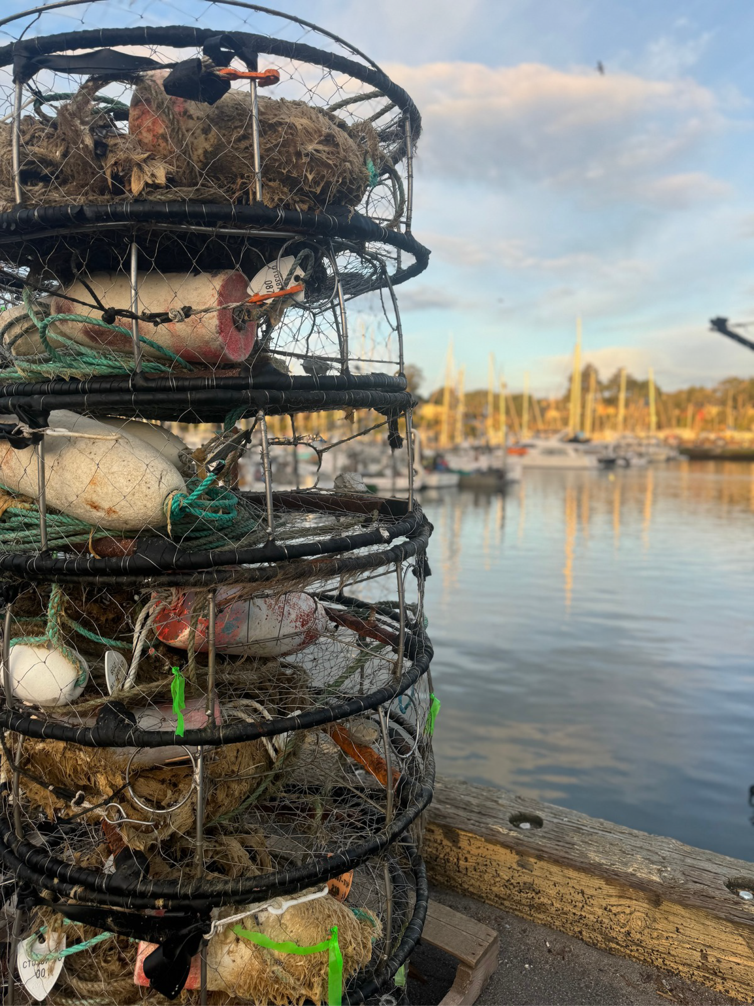 Lobster and crab traps stacked with fishing gear and buoys on a dock near a harbor with boats and clear sky in the background.