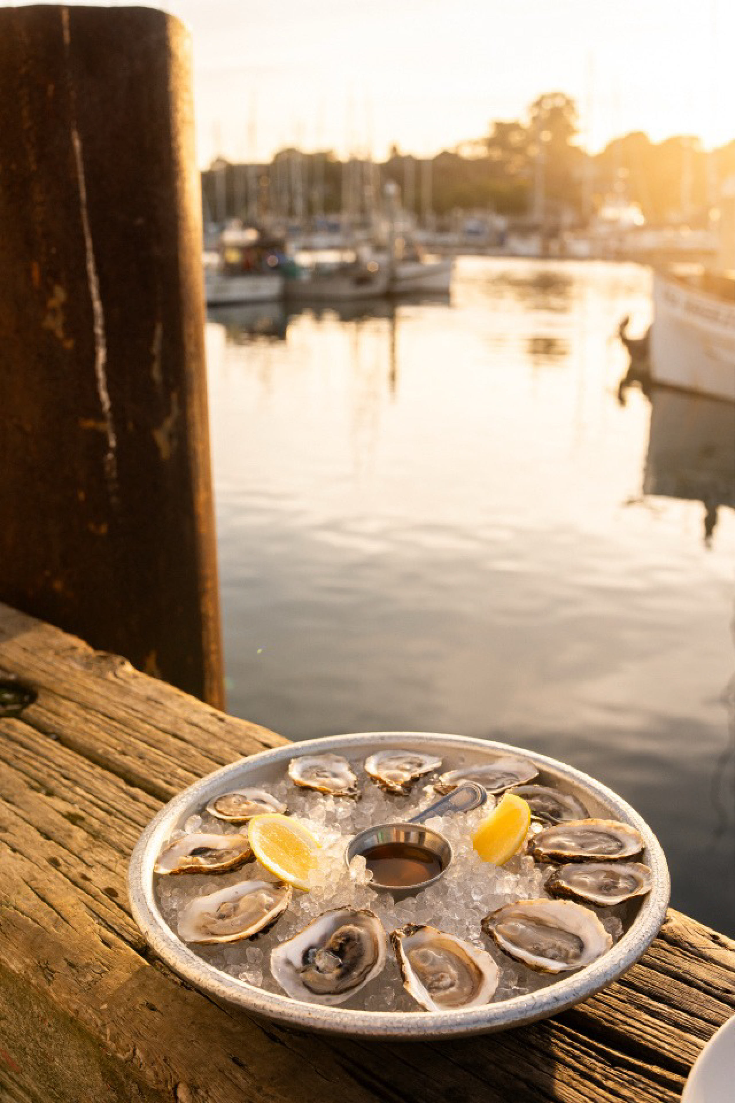 Plate of oysters with lemon wedges on a wooden dock at sunset, with boats in the harbor in the background.