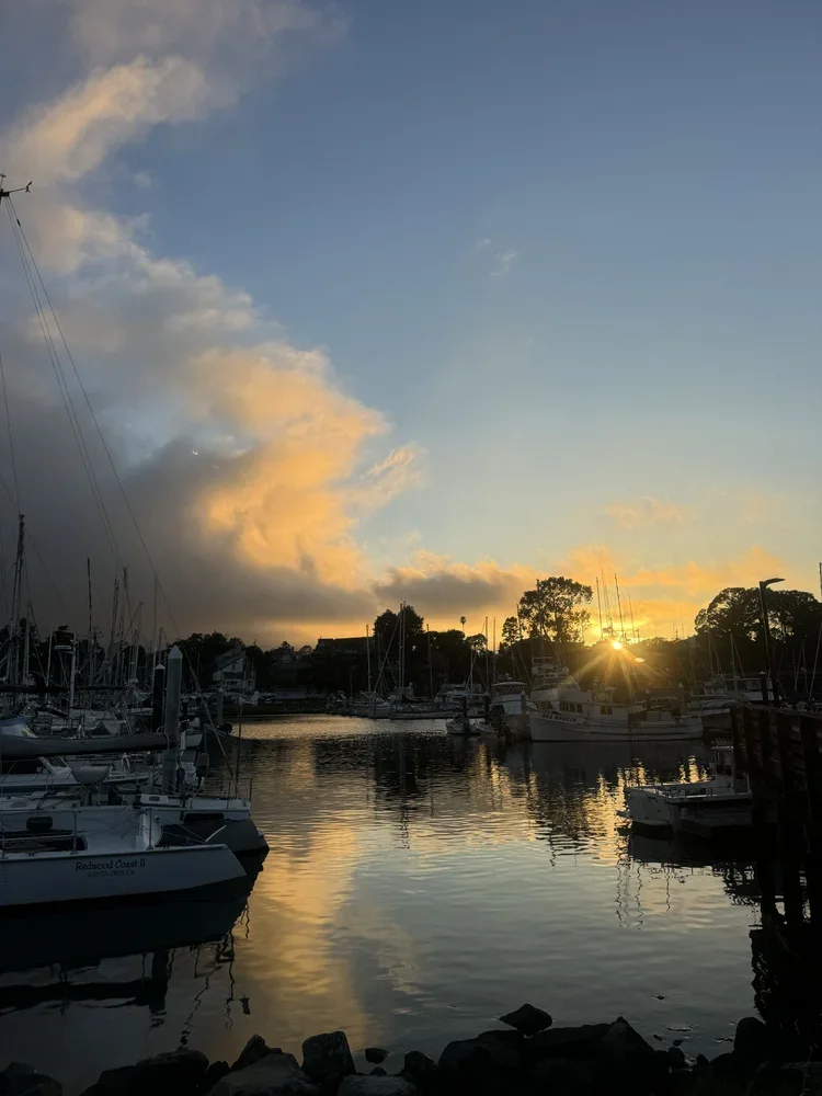 santa_cruz_sunset_johnnys_harborside.webp