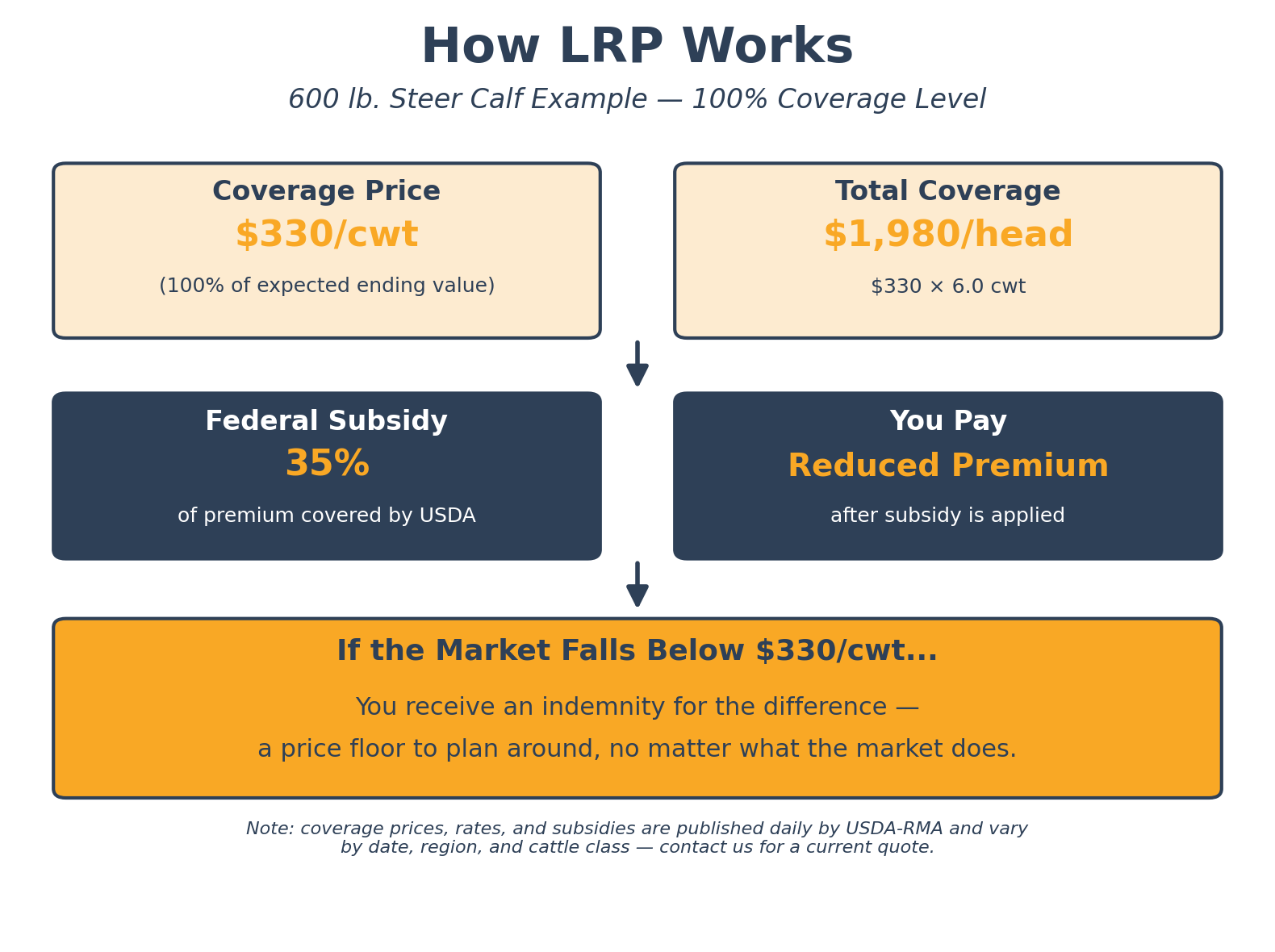 Flowchart explaining how livestock risk protection (LRP) insurance works for a 600 lb steer calf at 100% coverage, detailing coverage price of $330 per hundredweight, total coverage of $1,980 per head, federal subsidy of 35%, and the reduced premium paid by the owner. Highlights potential indemnity if market price falls below $330 per hundredweight.