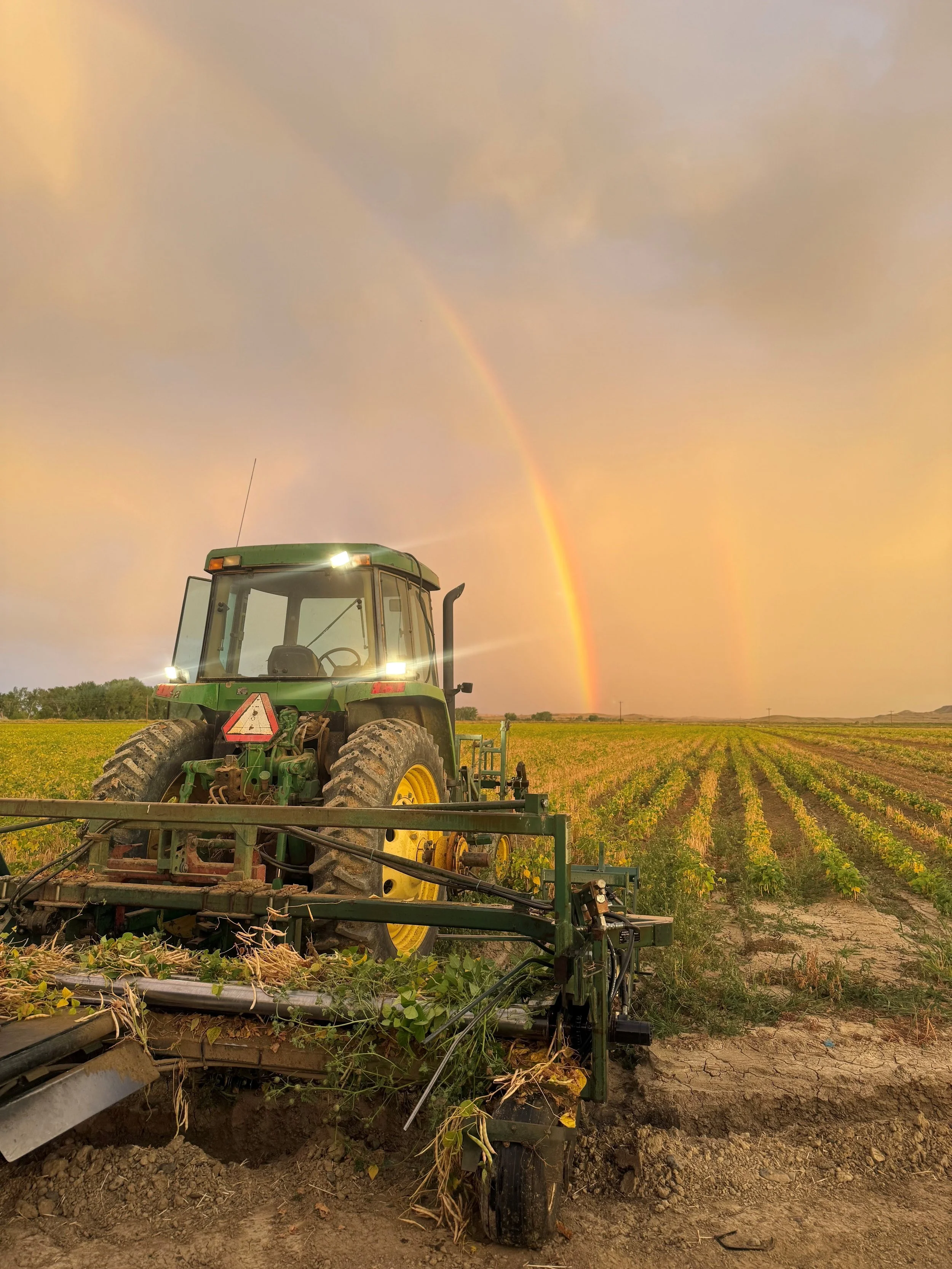 Green tractor working in a farmland field under a sky with a rainbow and clouds.