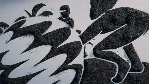 Dibujo artístico en blanco y negro de una piña y un puma en estilo geométrico y abstracto.
