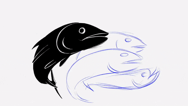 Dibujo en progreso de un pez, con una cabeza completamente negra y líneas de boceto para la estructura del resto del pez.
