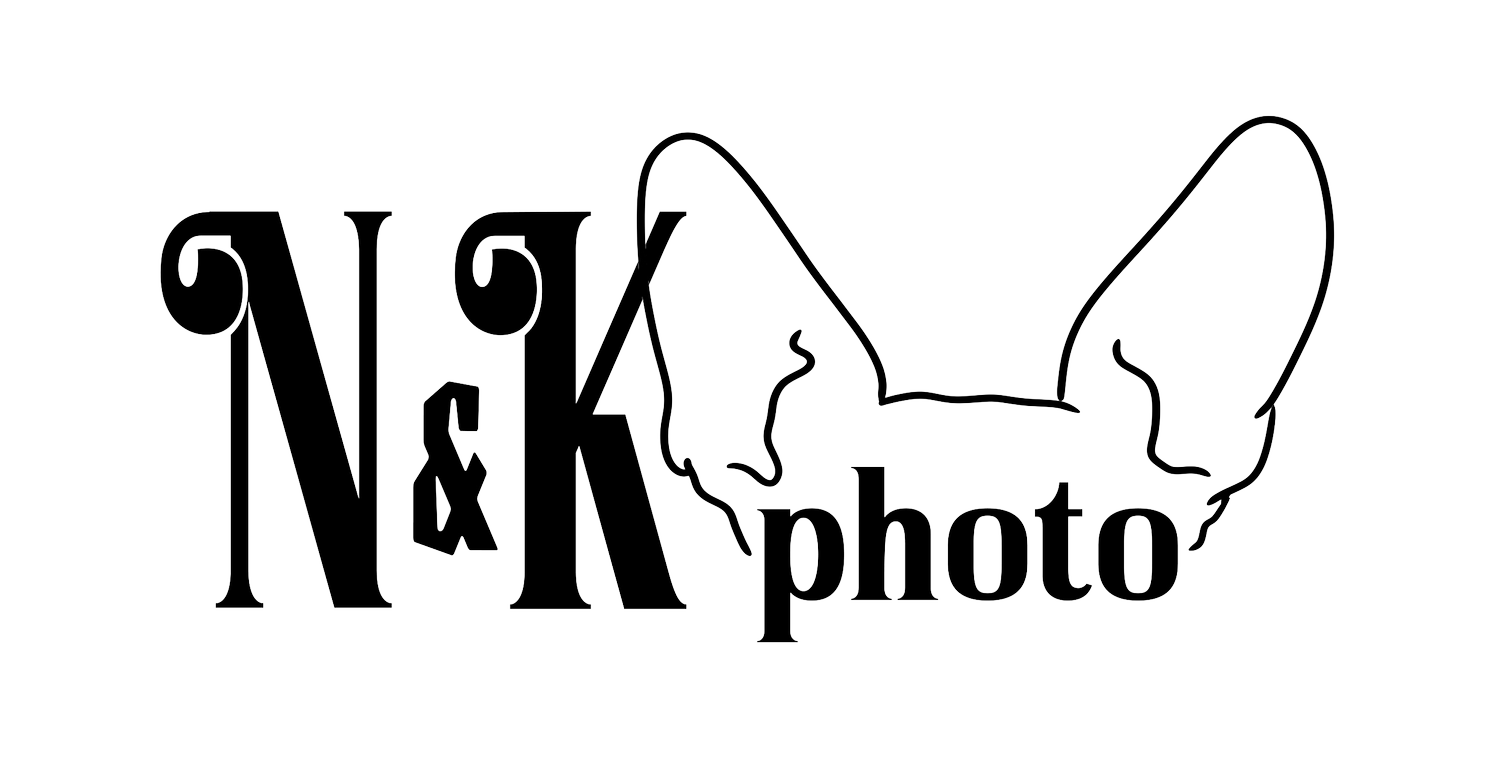N&amp;K PHOTO