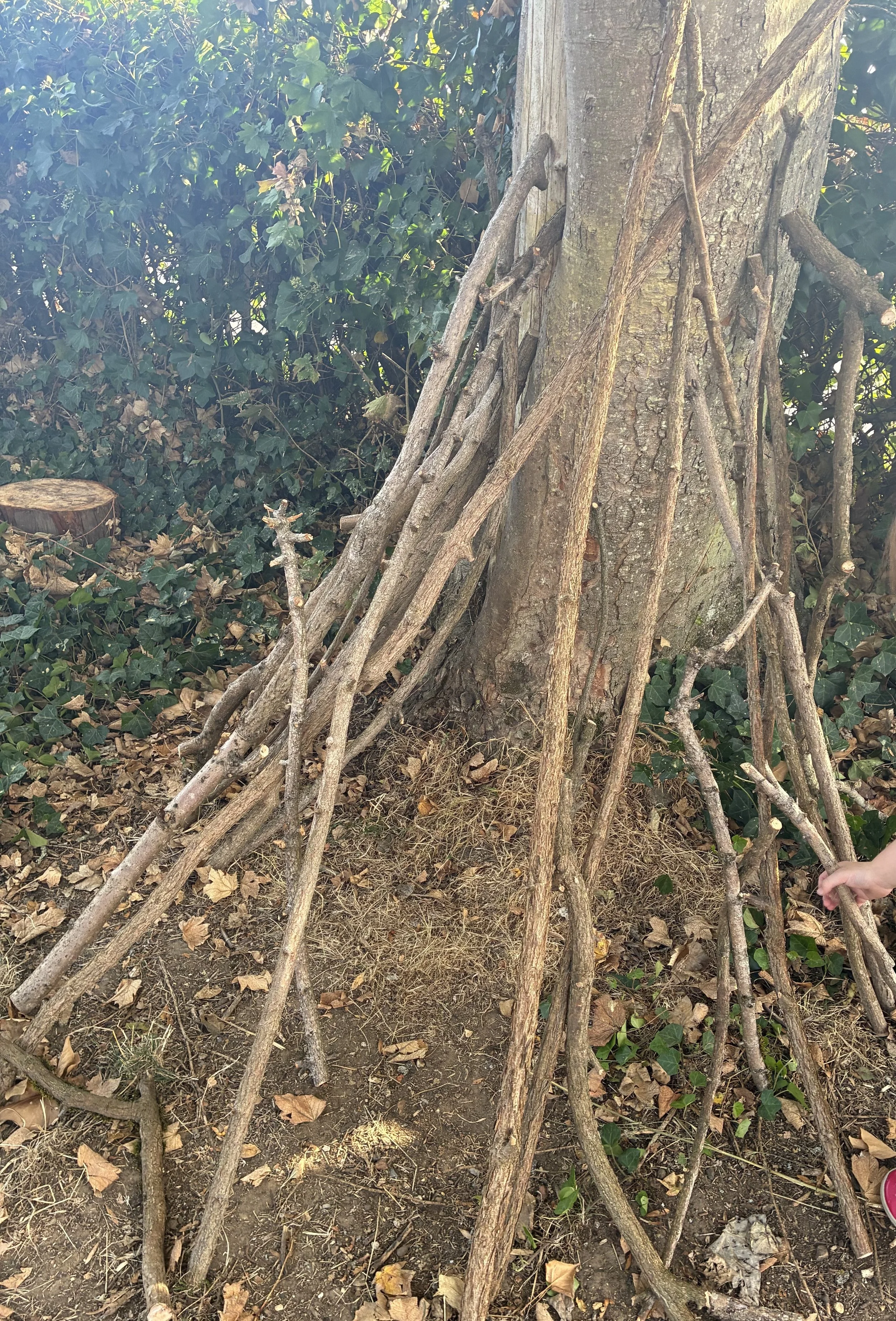 Stick Den.jpg
