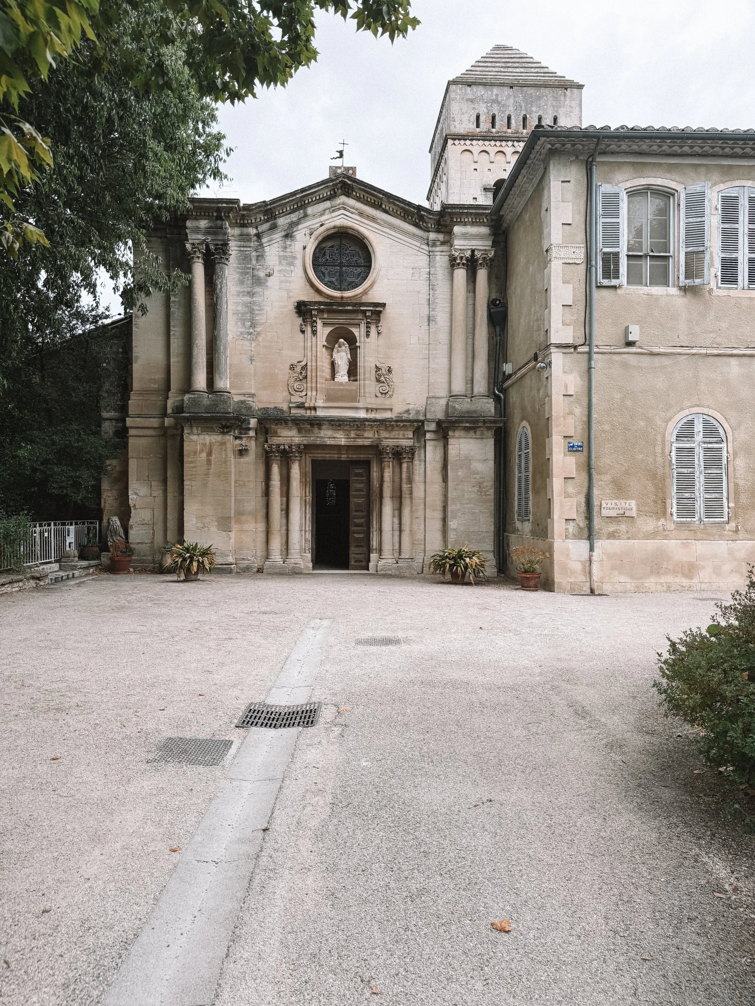IMG_6660.jpeg