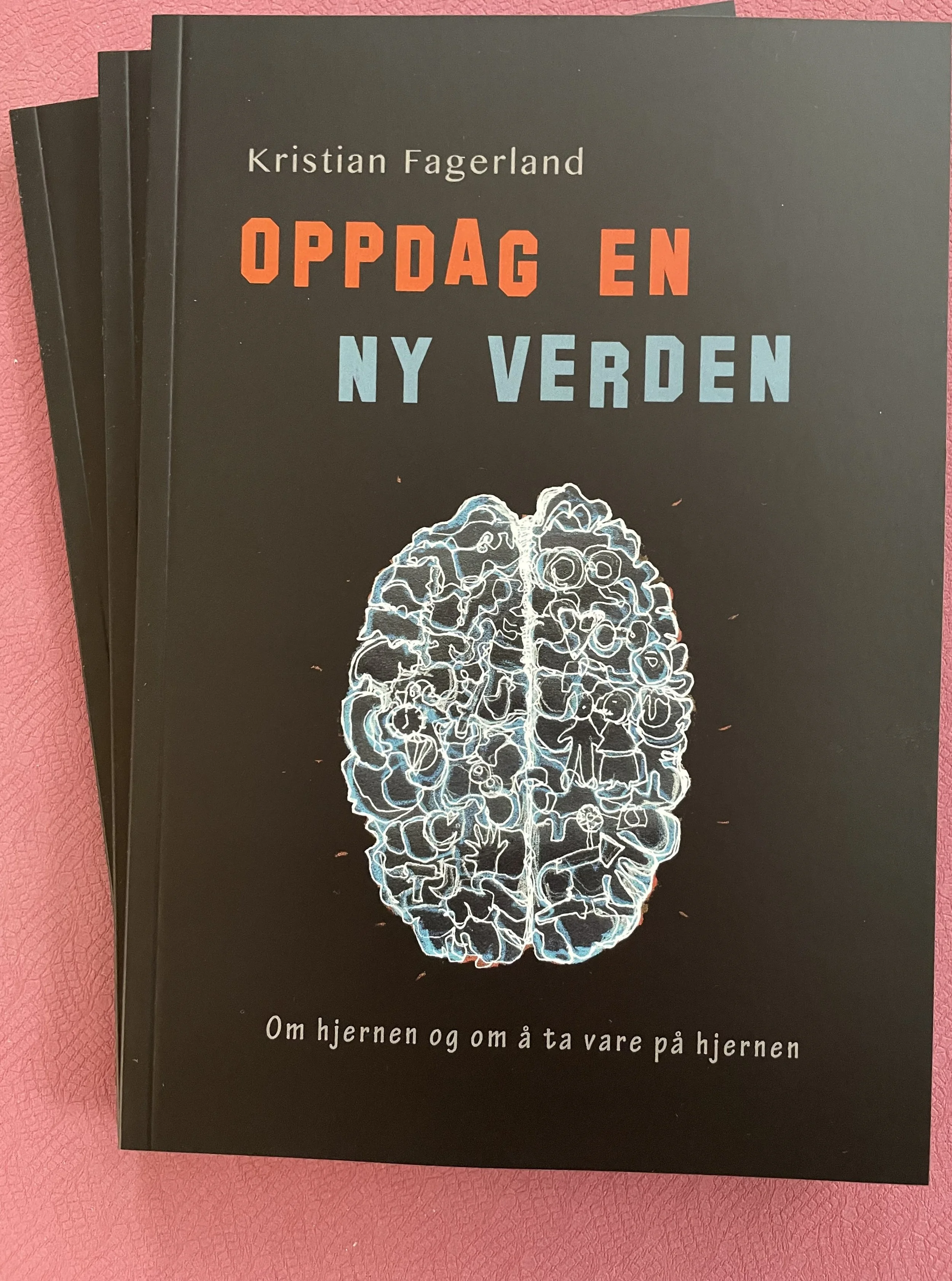 Bokomslag: Oppdag en ny verden av Kristian Fagerland