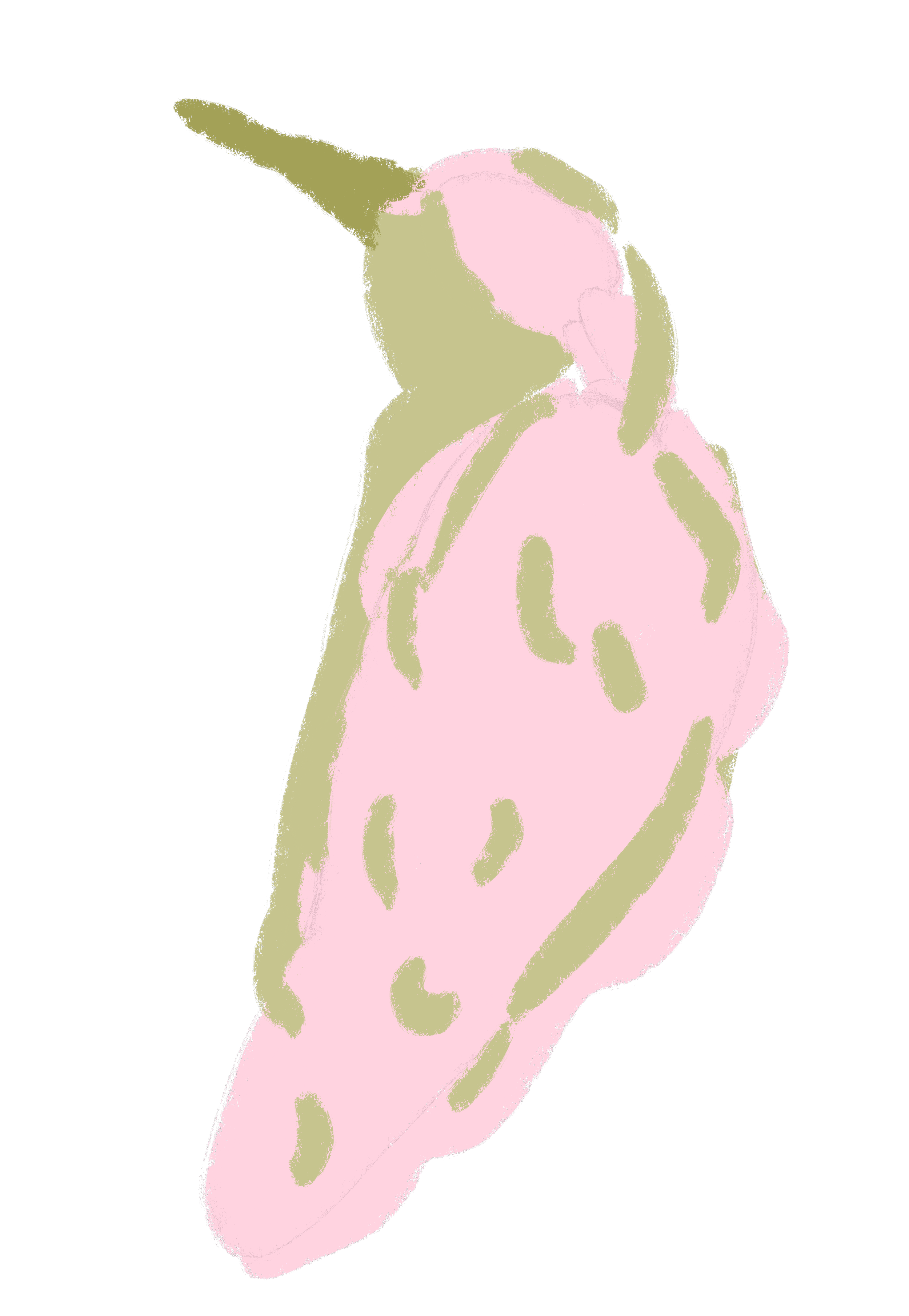 Abstract digital art featuring a pink and green shape resembling a stylized dragonfly or butterfly wing.