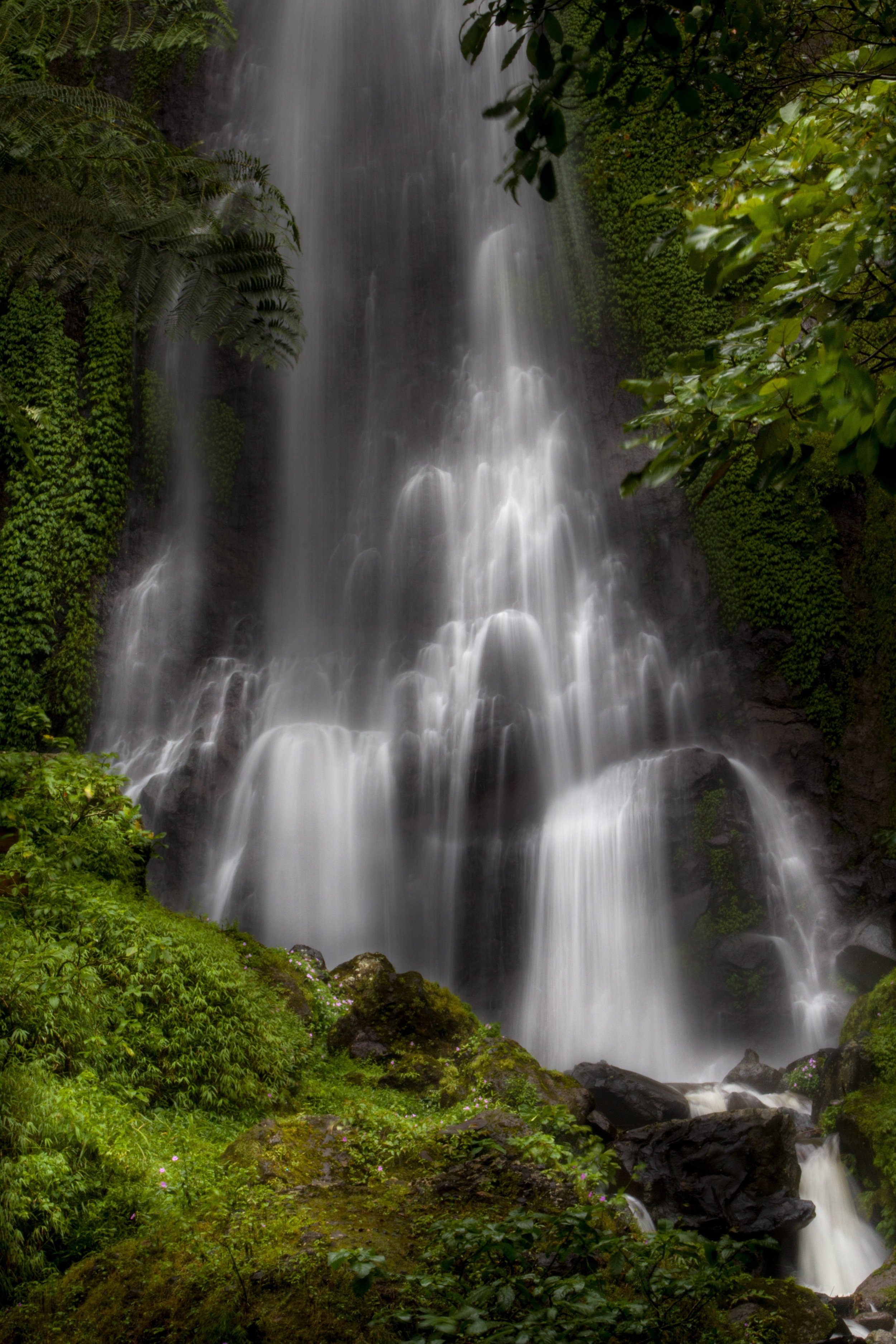 A tall waterfall cascading down a rocky cliff surrounded by lush green vegetation and trees.