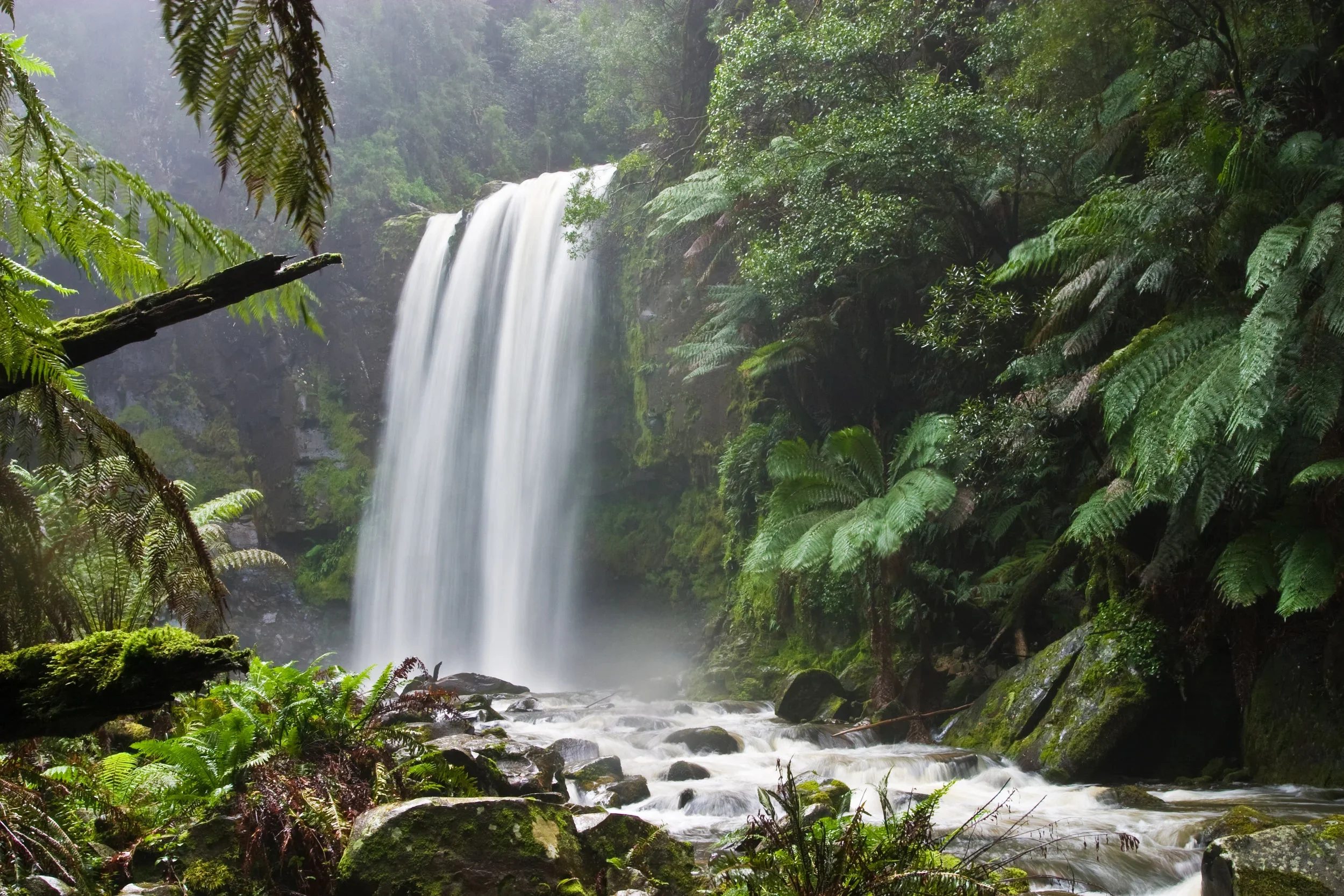 Waterfall in a lush green forest with moss-covered rocks and ferns surrounding the cascading water.