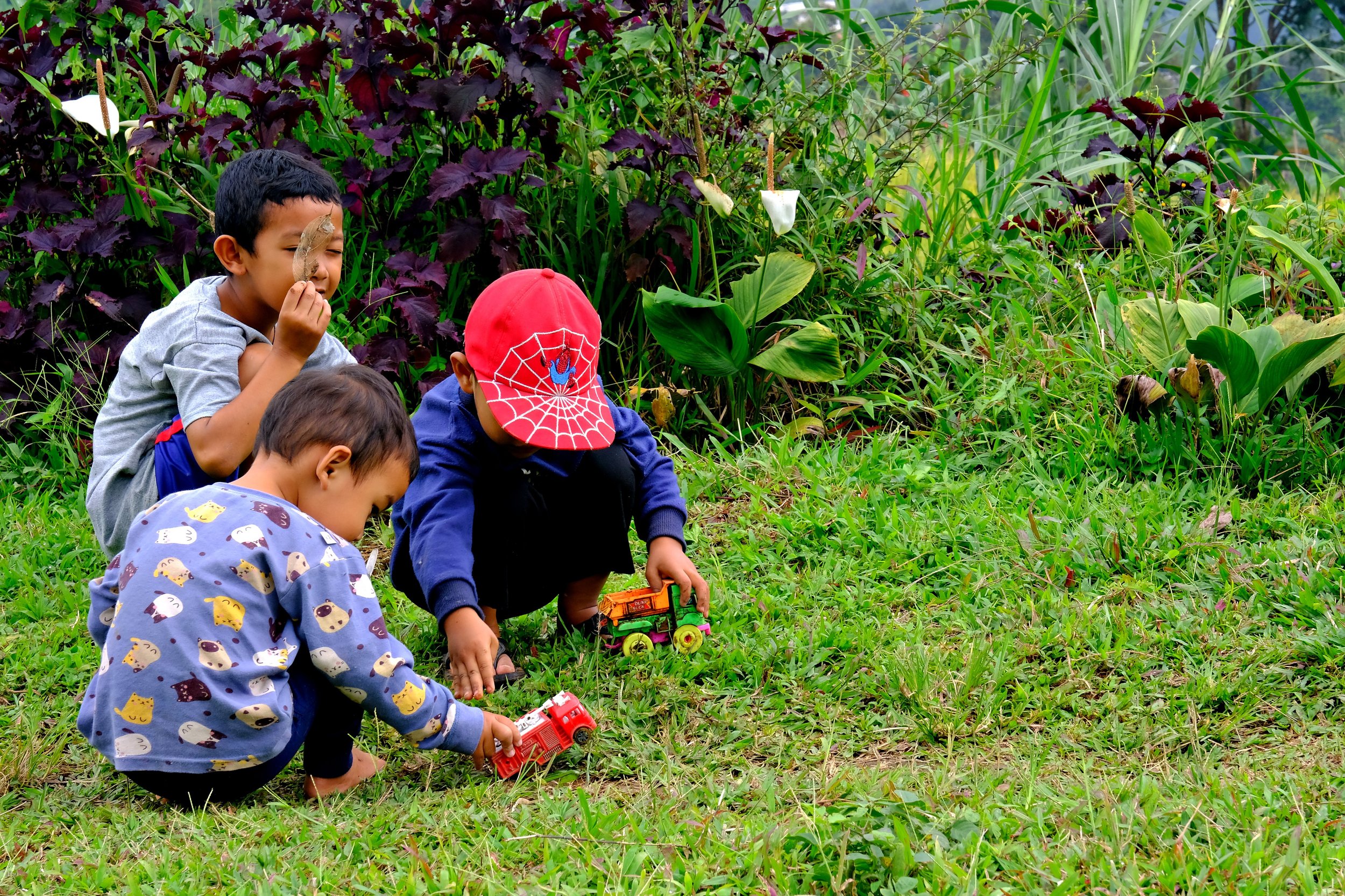Four young children playing outside in a grassy field surrounded by tall green plants and purple-leafed bushes. They are examining the ground and playing with toy trucks, with one child holding a leaf to his face and another wearing a red cap with a Spider-Man logo.