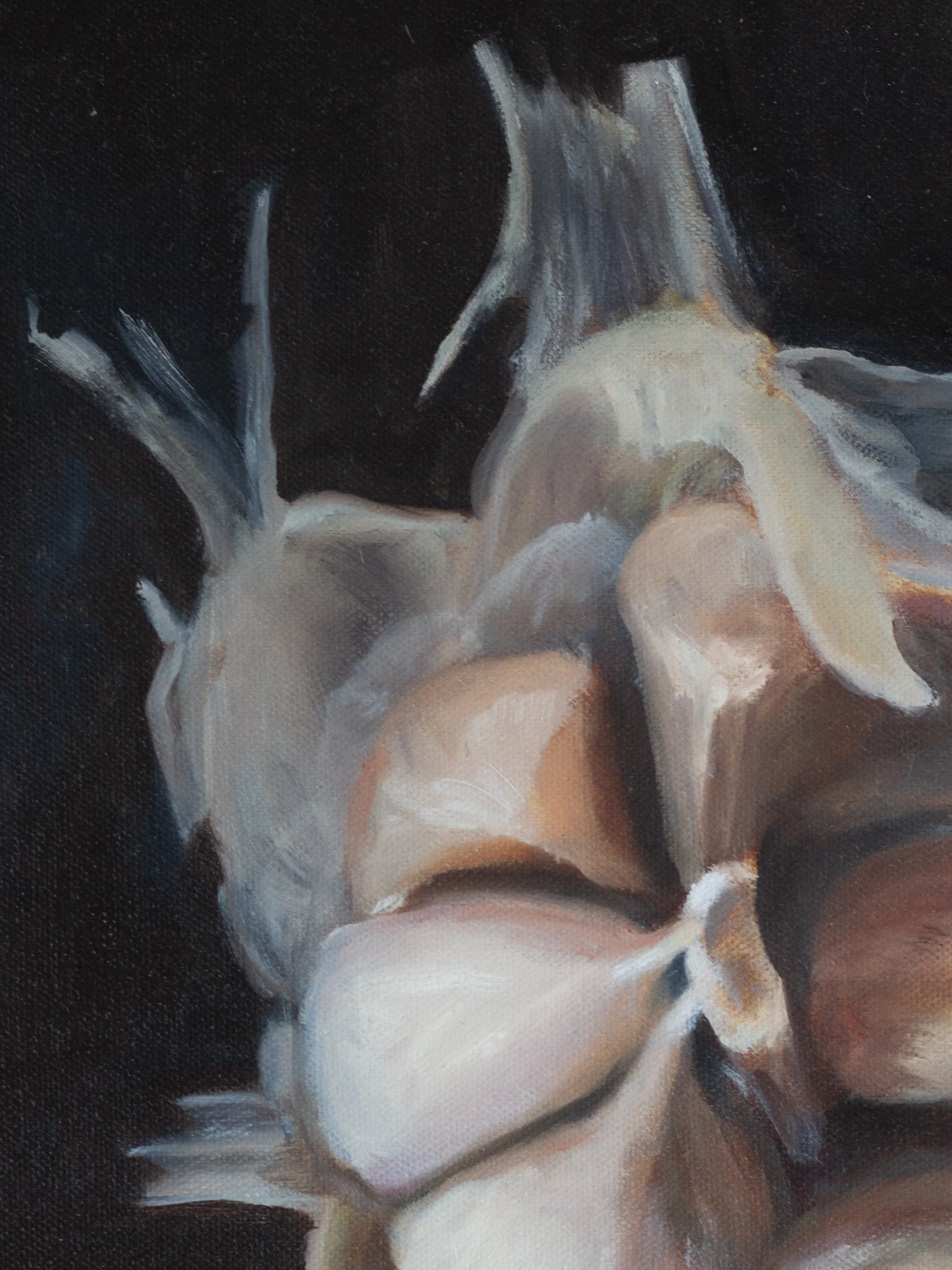 NellyleComte.Art.garlic.detail-4.jpg