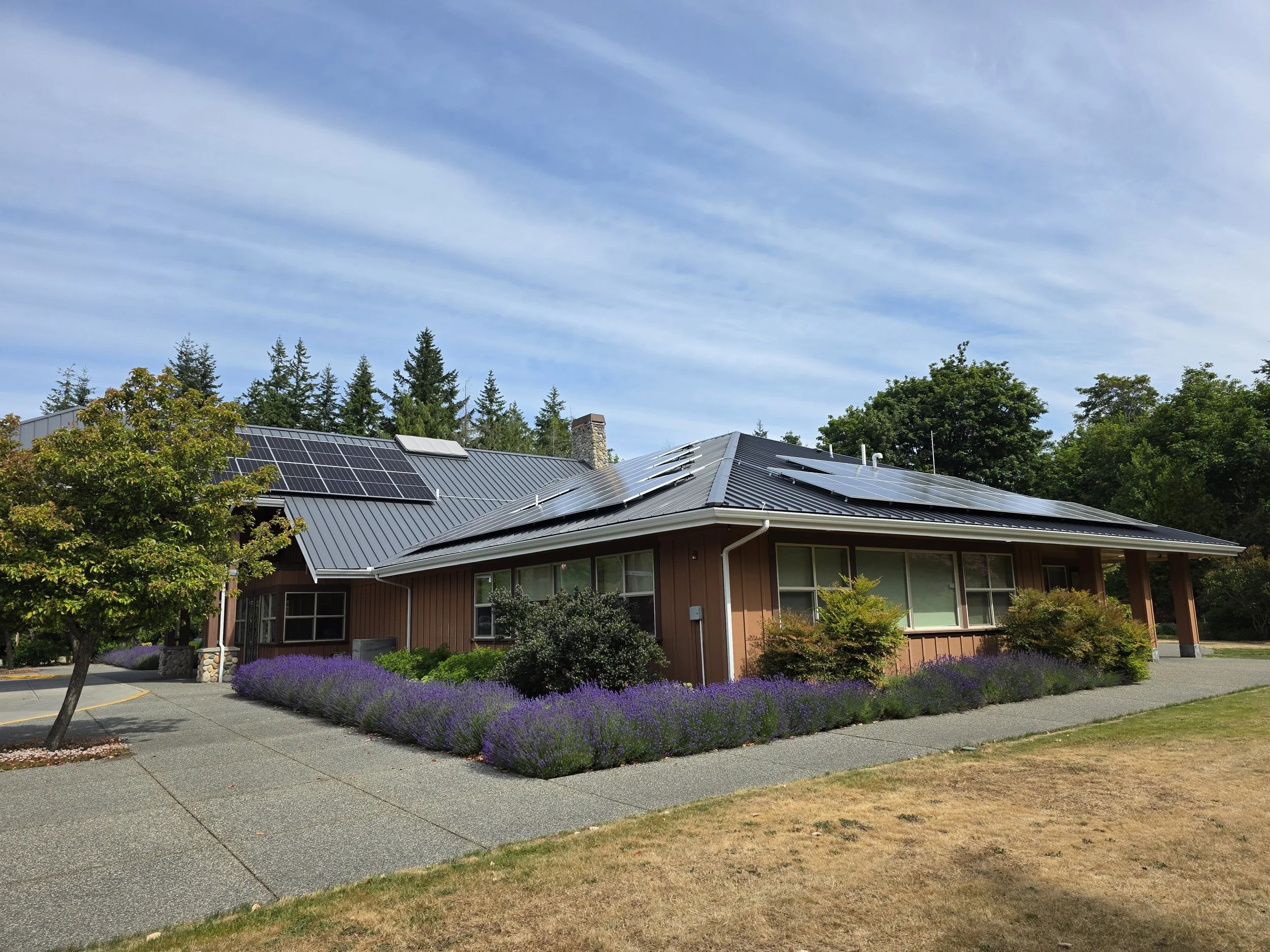 A house with solar panels on the roof surrounded by trees and purple bushes, under a blue sky with wispy clouds.