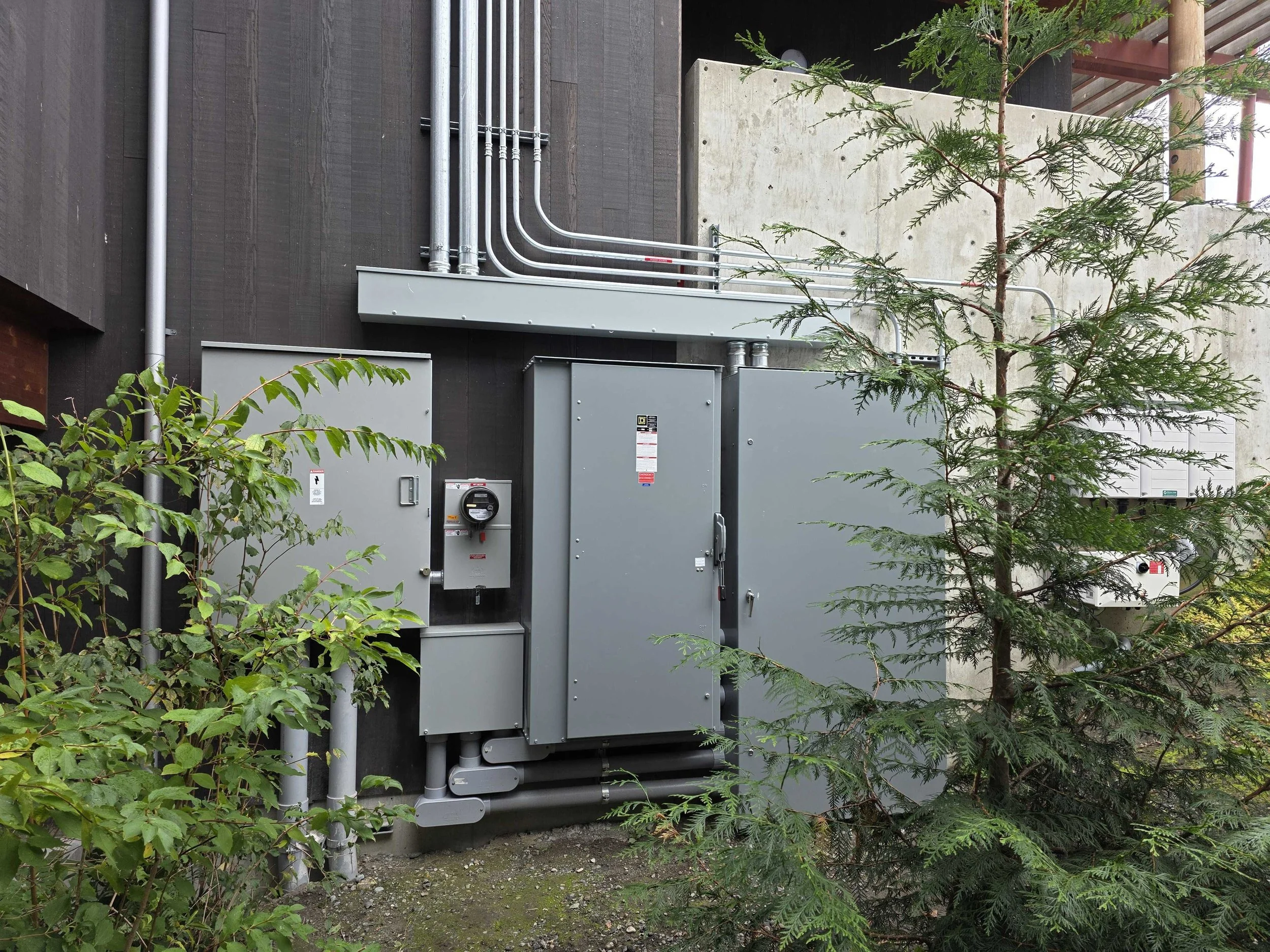 Exterior of a building with electrical meters and conduit piping, partially obscured by green plants and trees.
