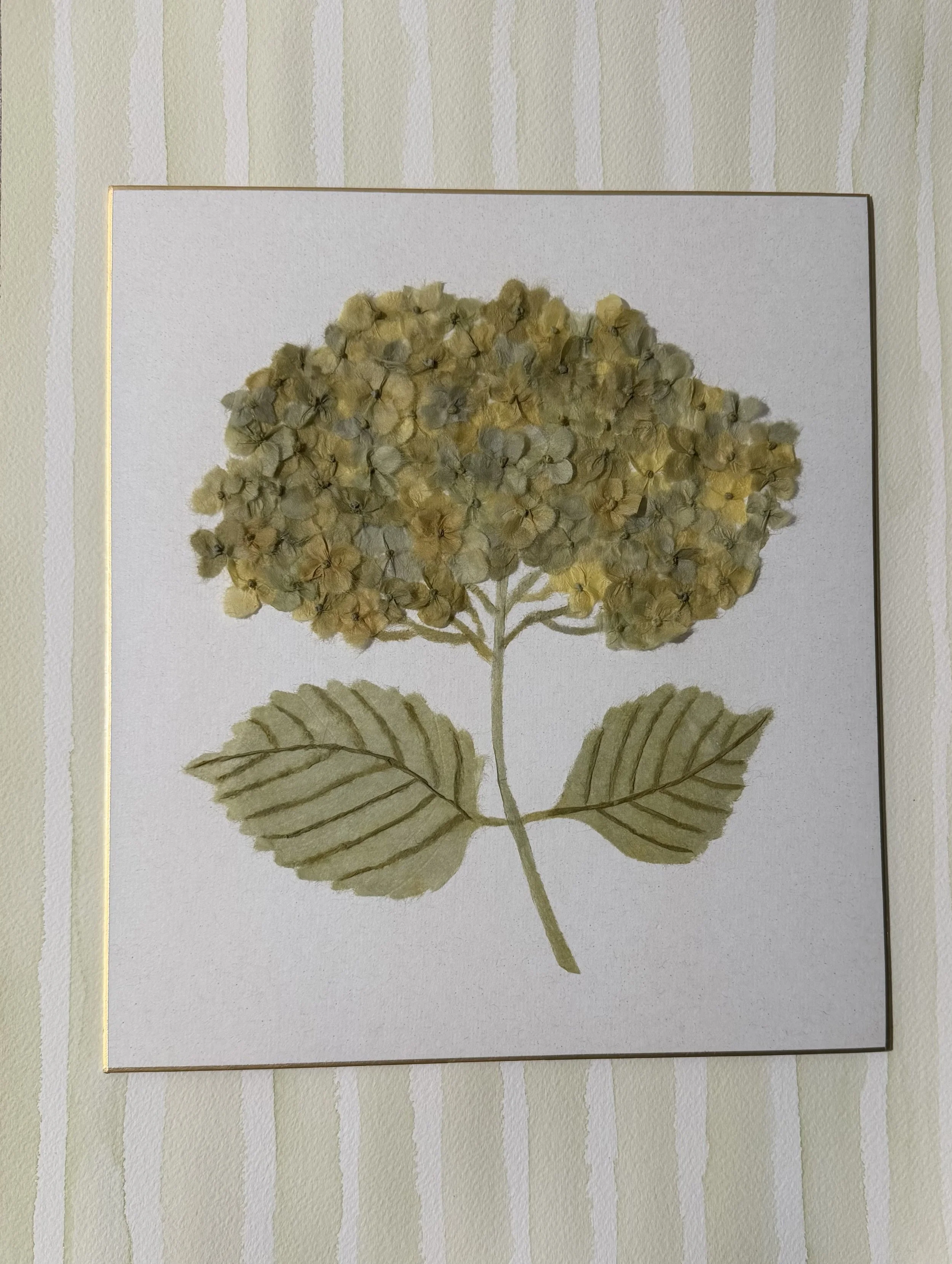A framed botanical illustration of a tree with yellowish flowers and green leaves, hanging on a wall with pale striped wallpaper.